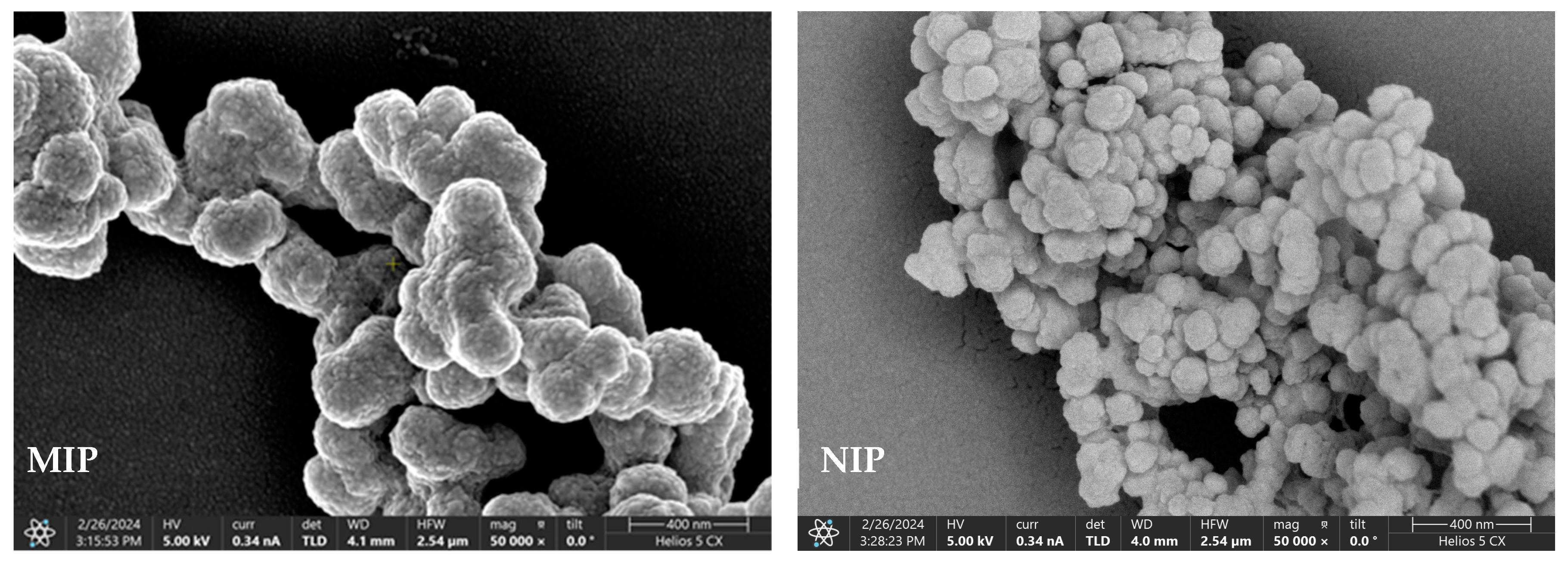 Molecules 29 01292 g002