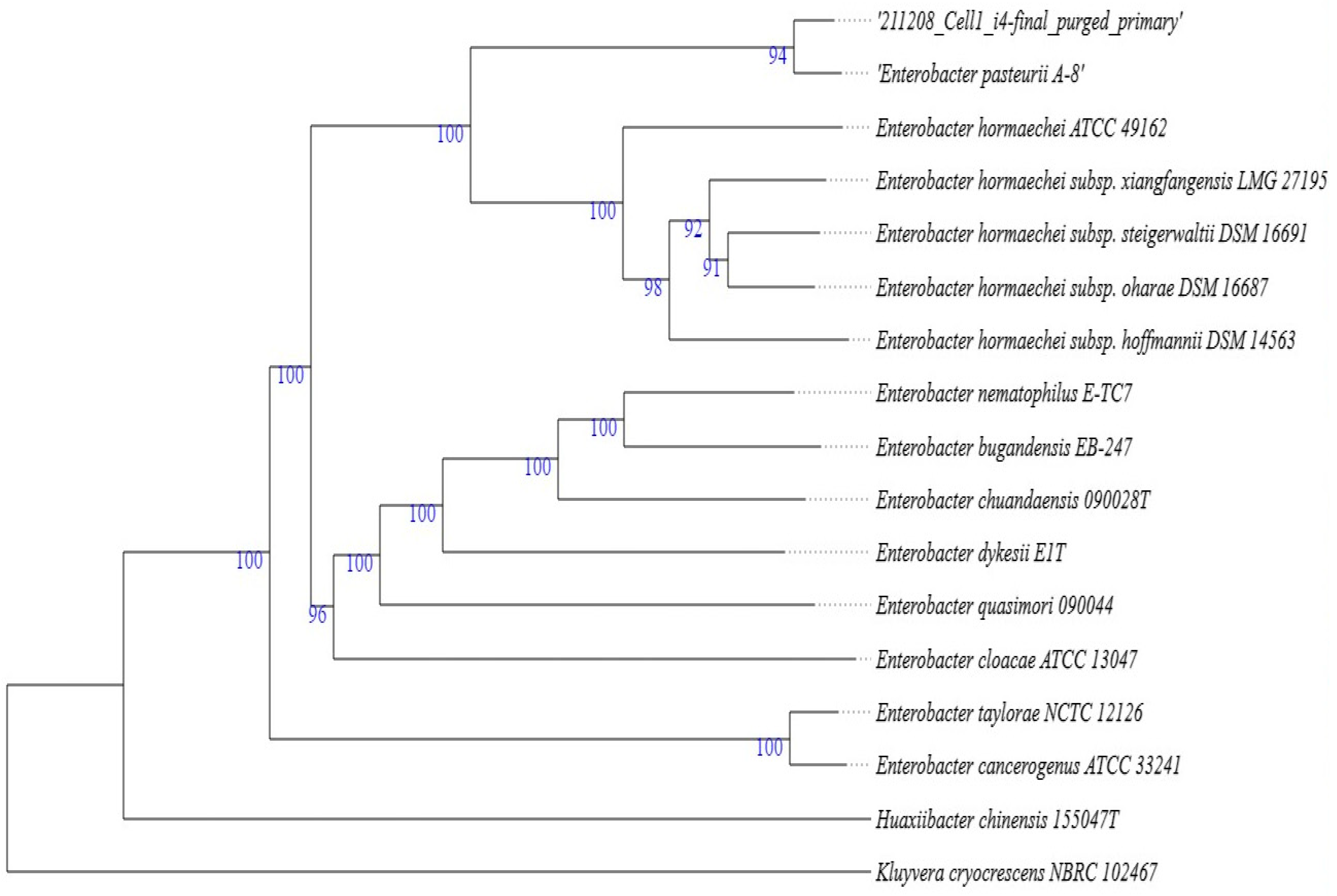 Molecules 29 01297 g003
