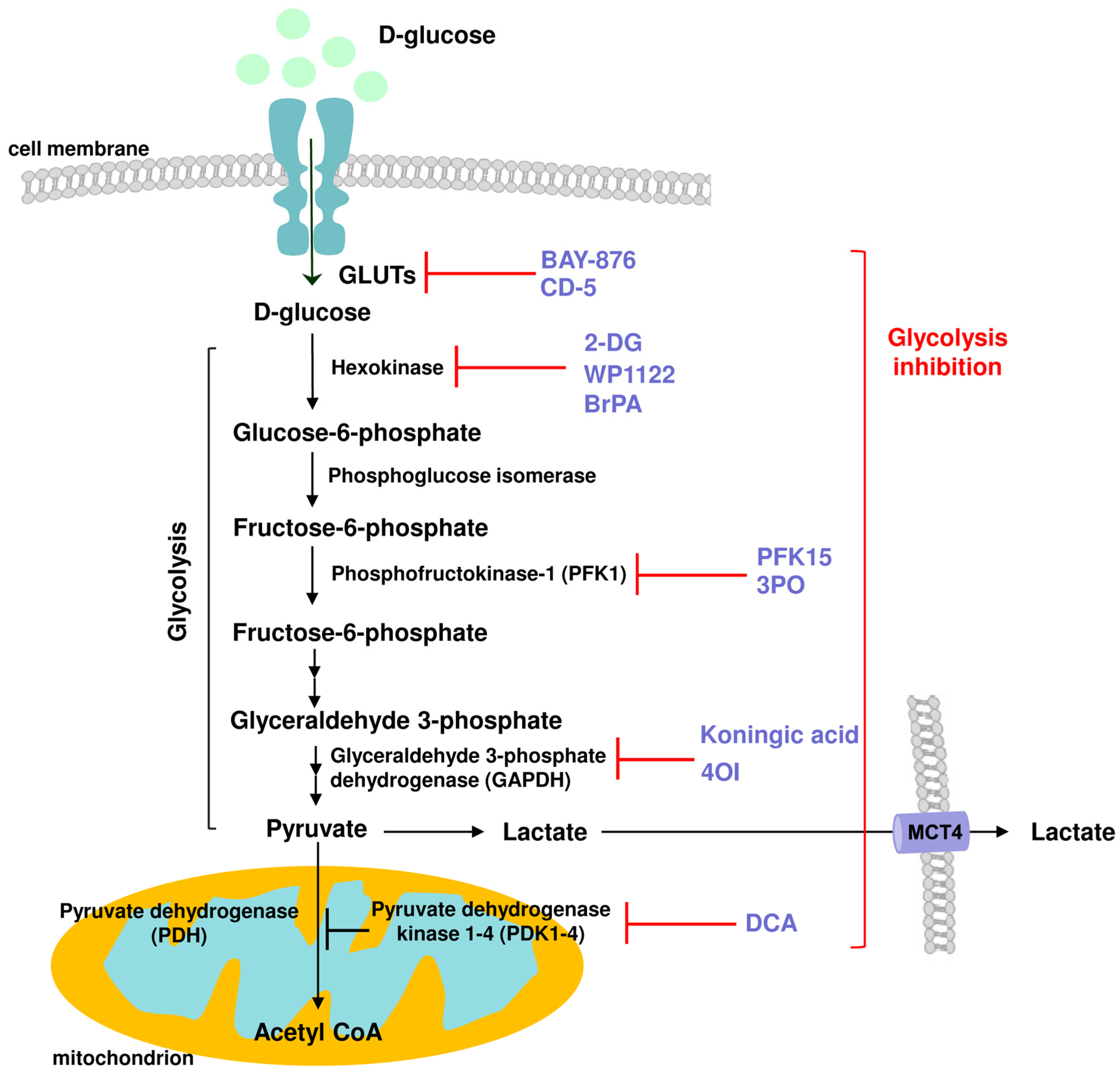 Molecules 29 01298 g004