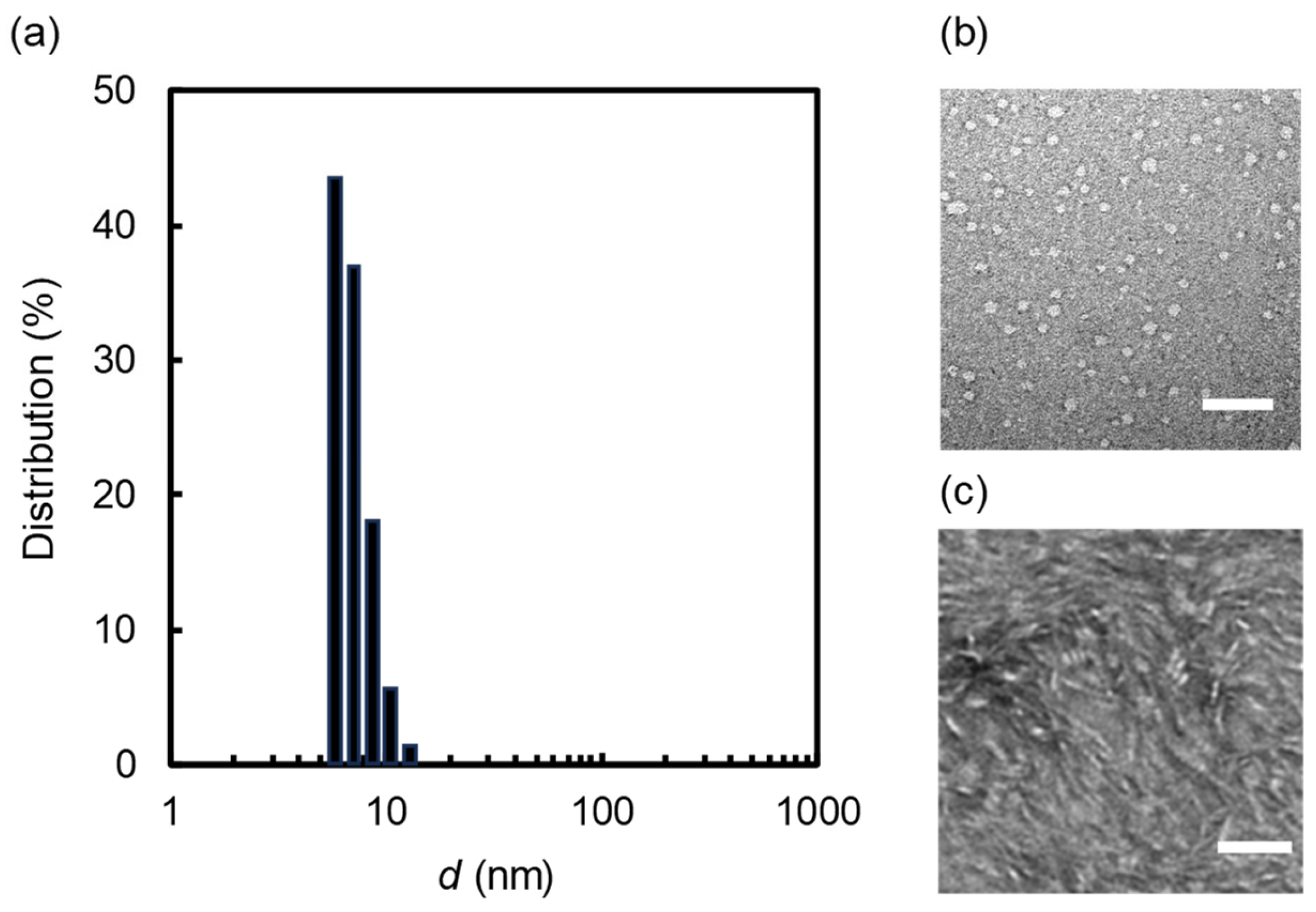 Molecules 29 01300 g002