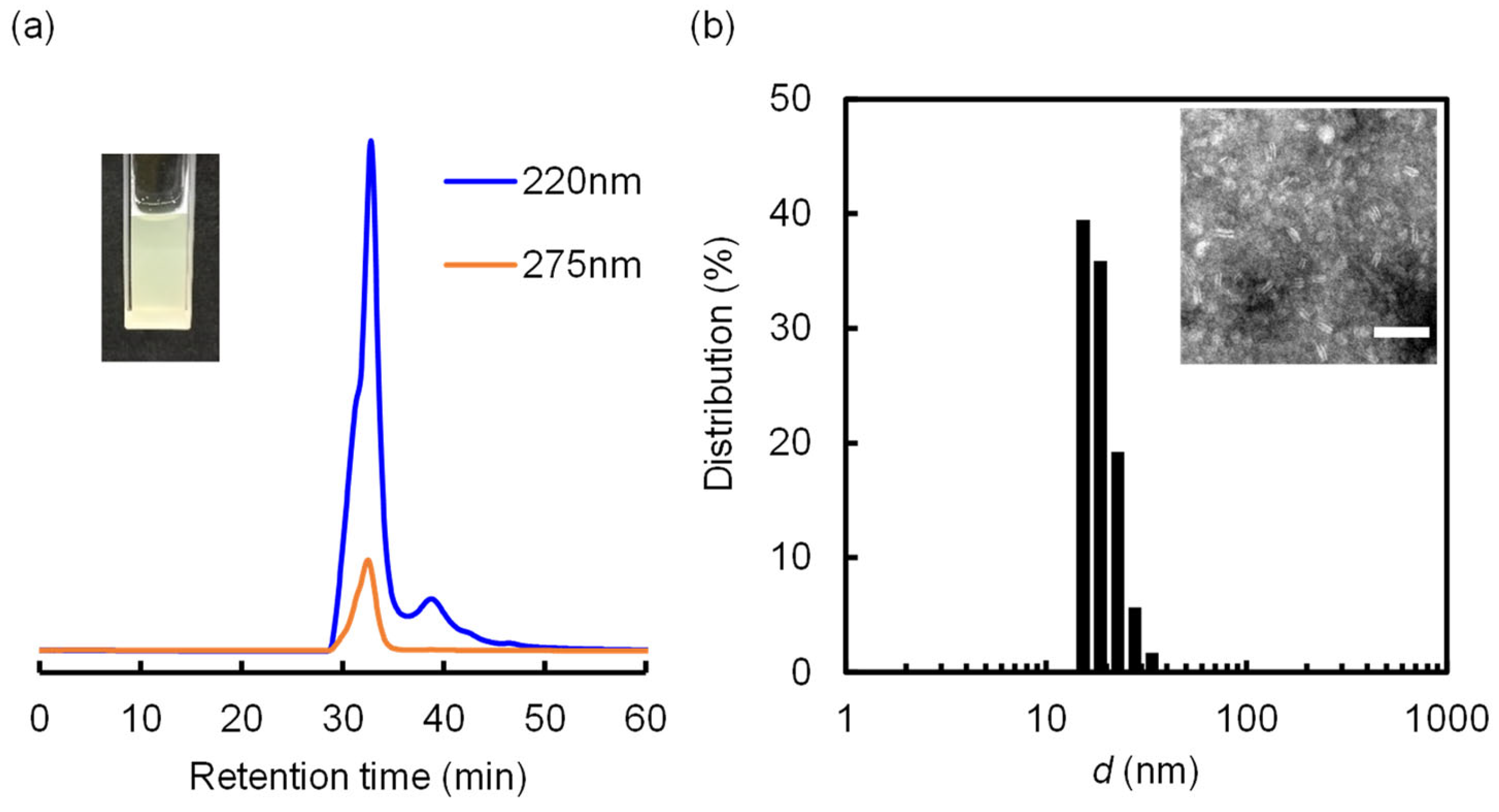 Molecules 29 01300 g004