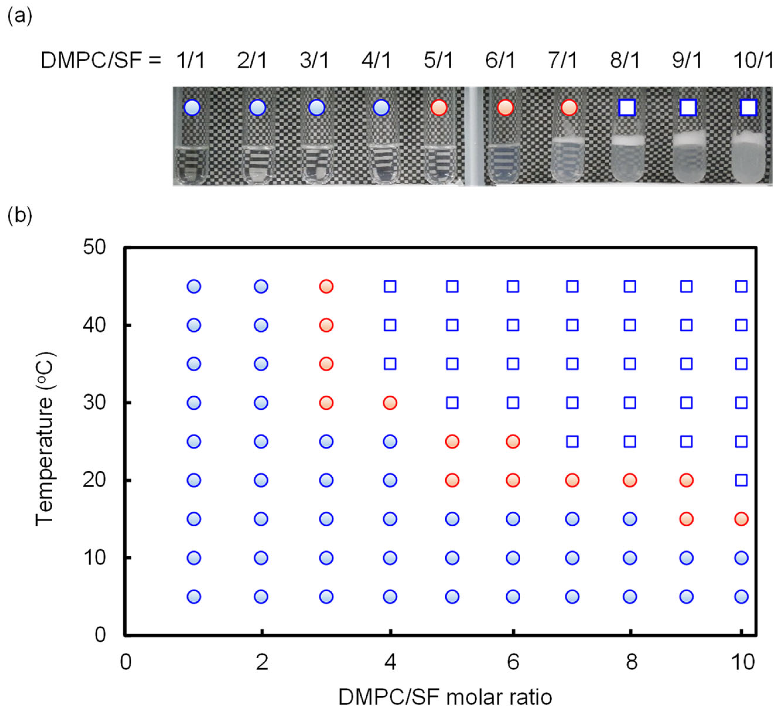 Molecules 29 01300 g005