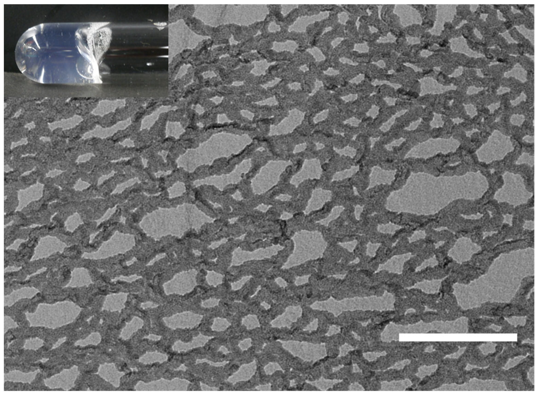 Molecules 29 01300 g006