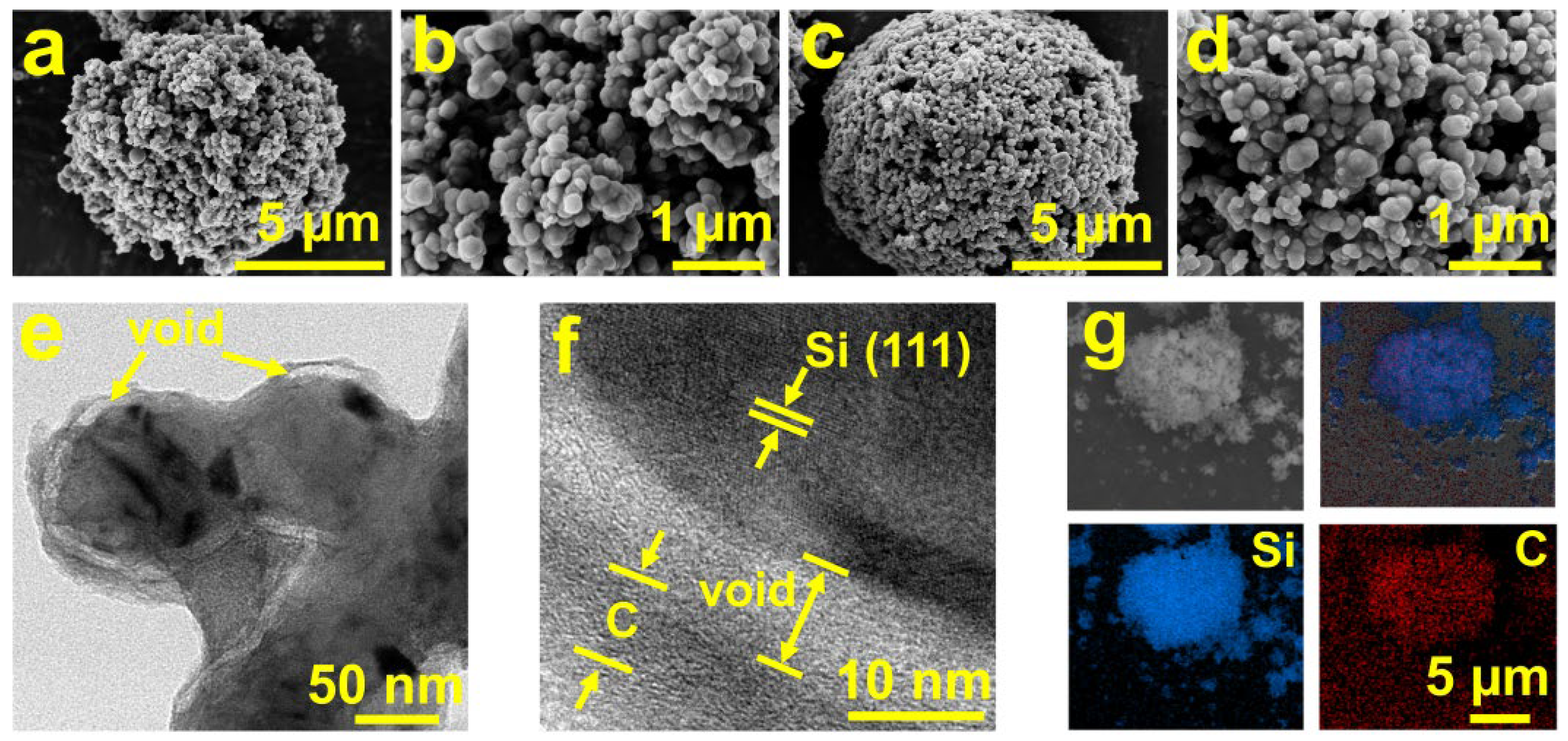 Molecules 29 01301 g001