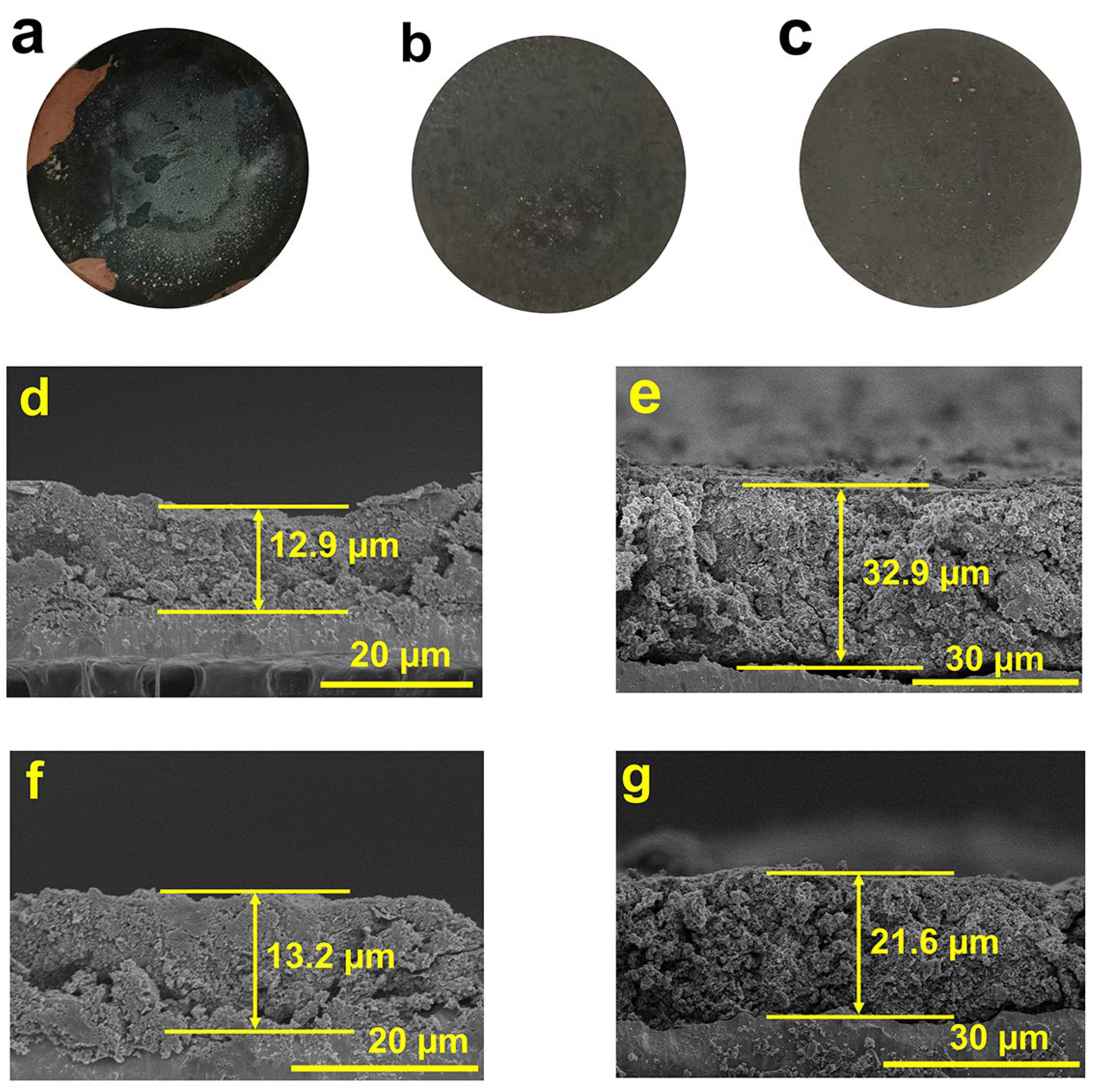 Molecules 29 01301 g005