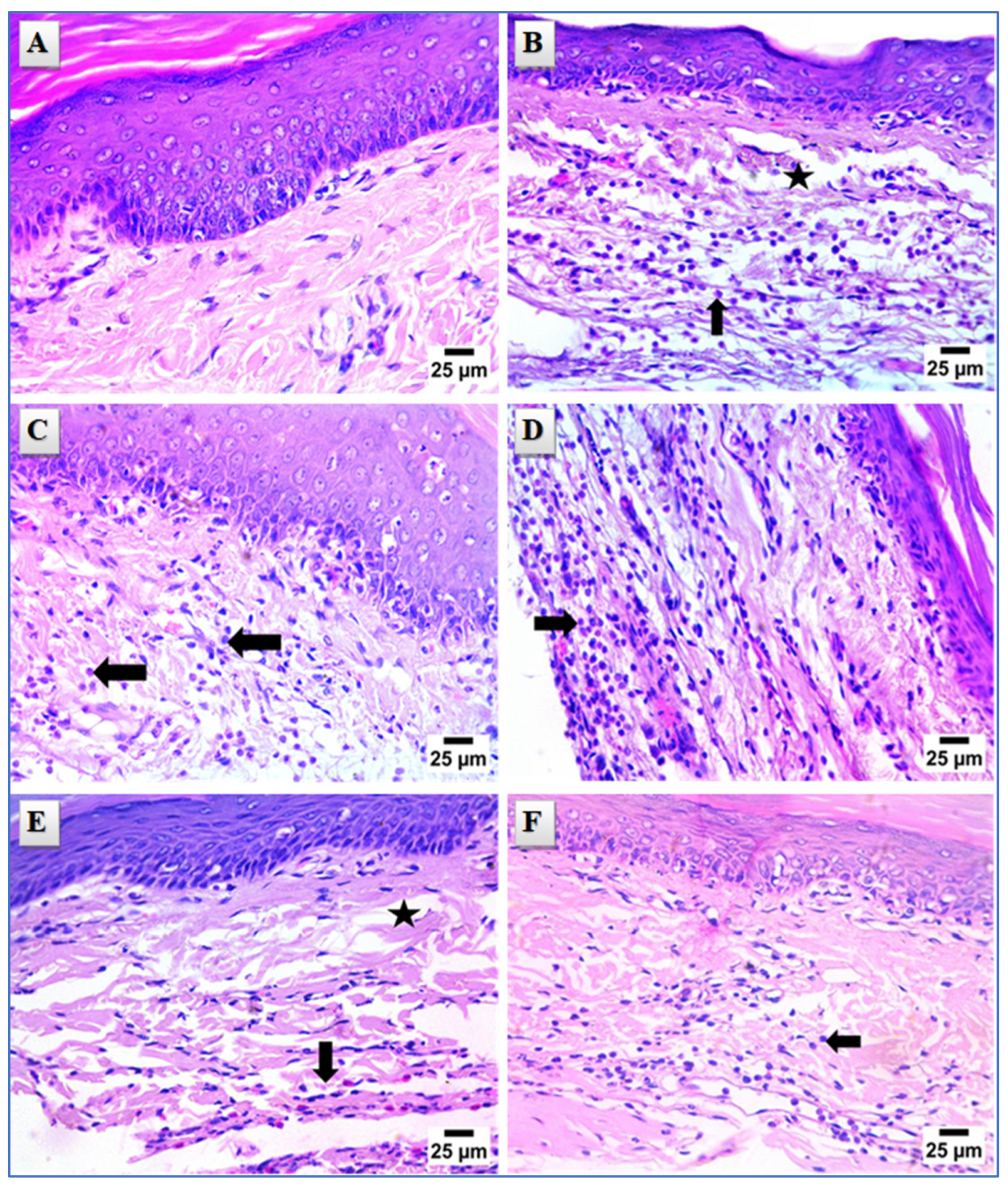 Molecules 29 01309 g005