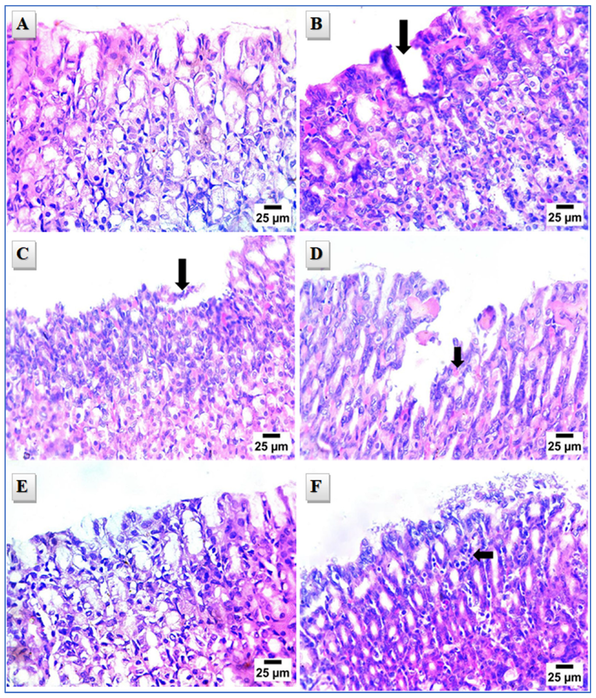 Molecules 29 01309 g007