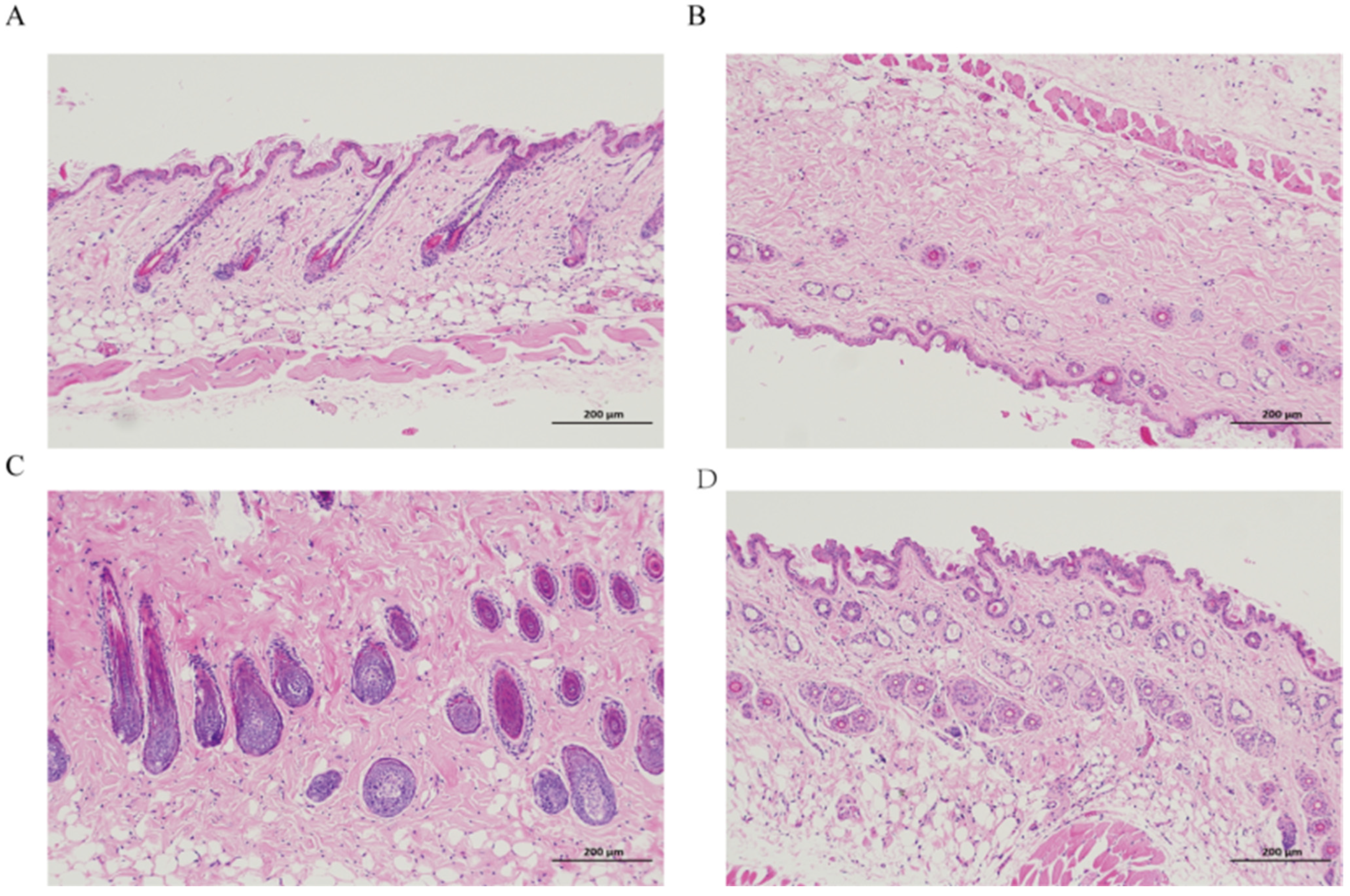 Molecules 29 01311 g008