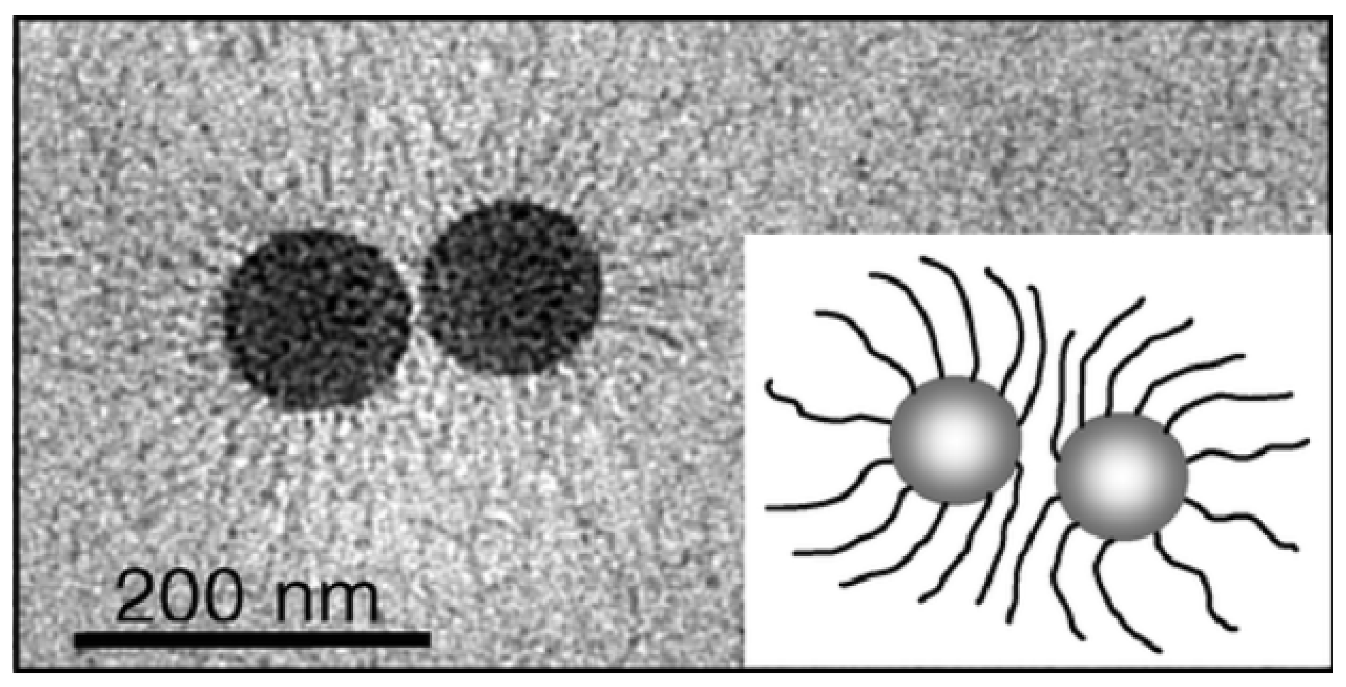 Molecules 29 01315 g006 Molecules 29 01315 g006