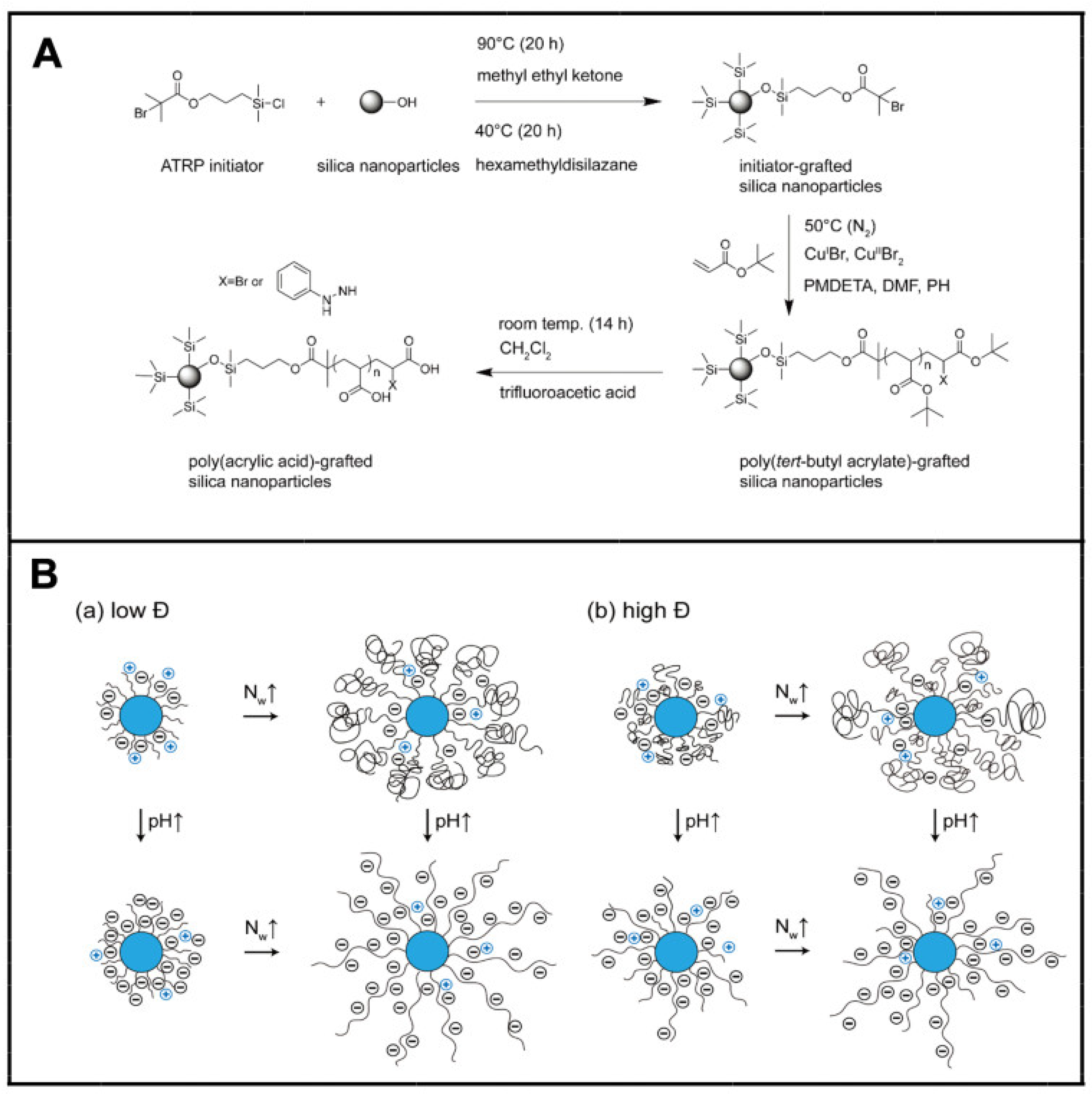 Molecules 29 01315 g007 Molecules 29 01315 g007