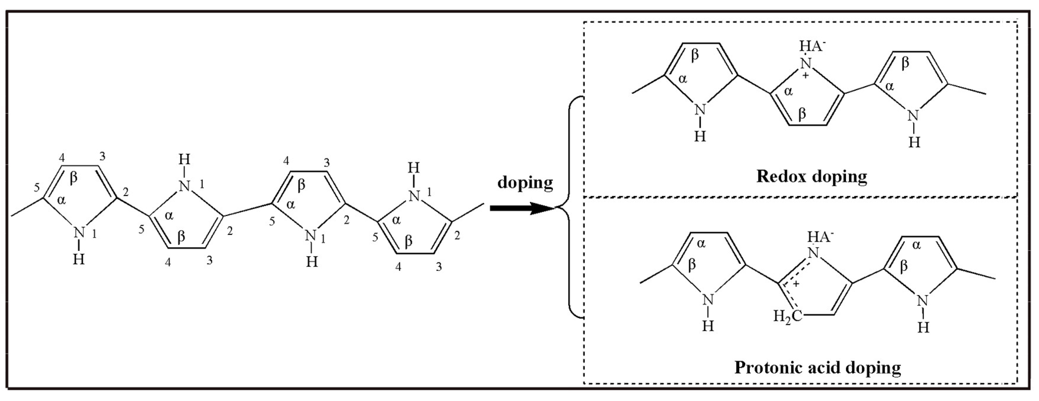 Molecules 29 01315 g012 Molecules 29 01315 g012