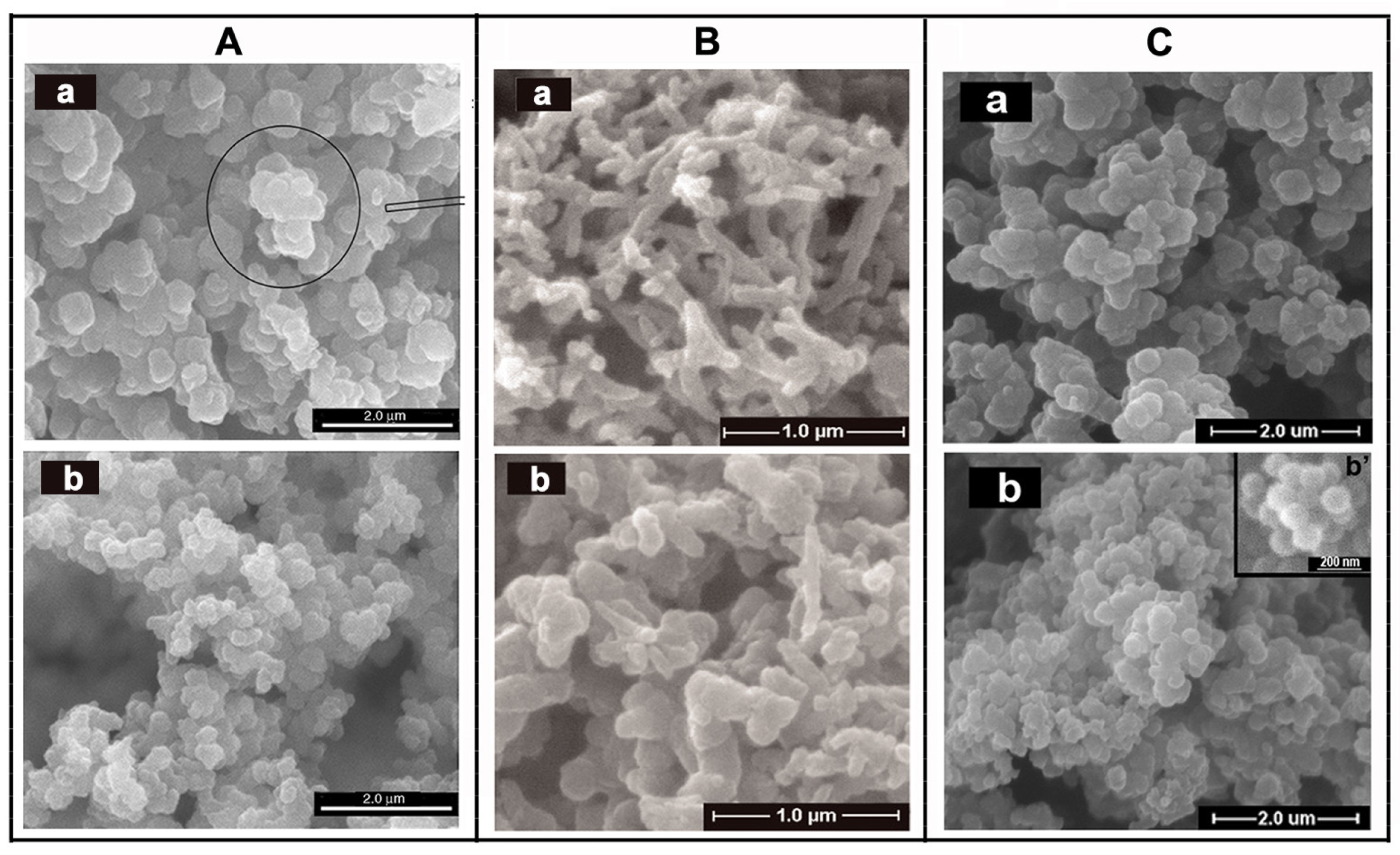 Molecules 29 01315 g015 Molecules 29 01315 g015