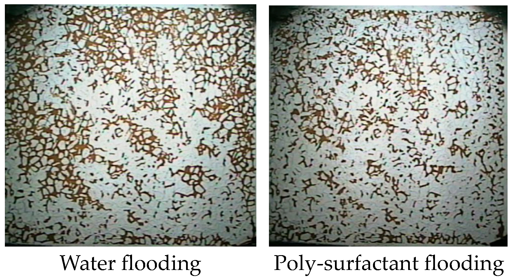Molecules 29 01321 g003