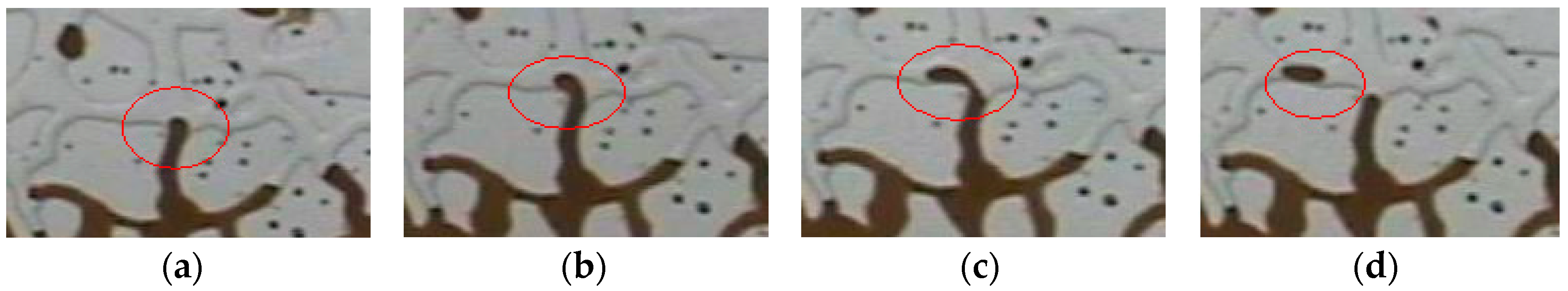 Molecules 29 01321 g005