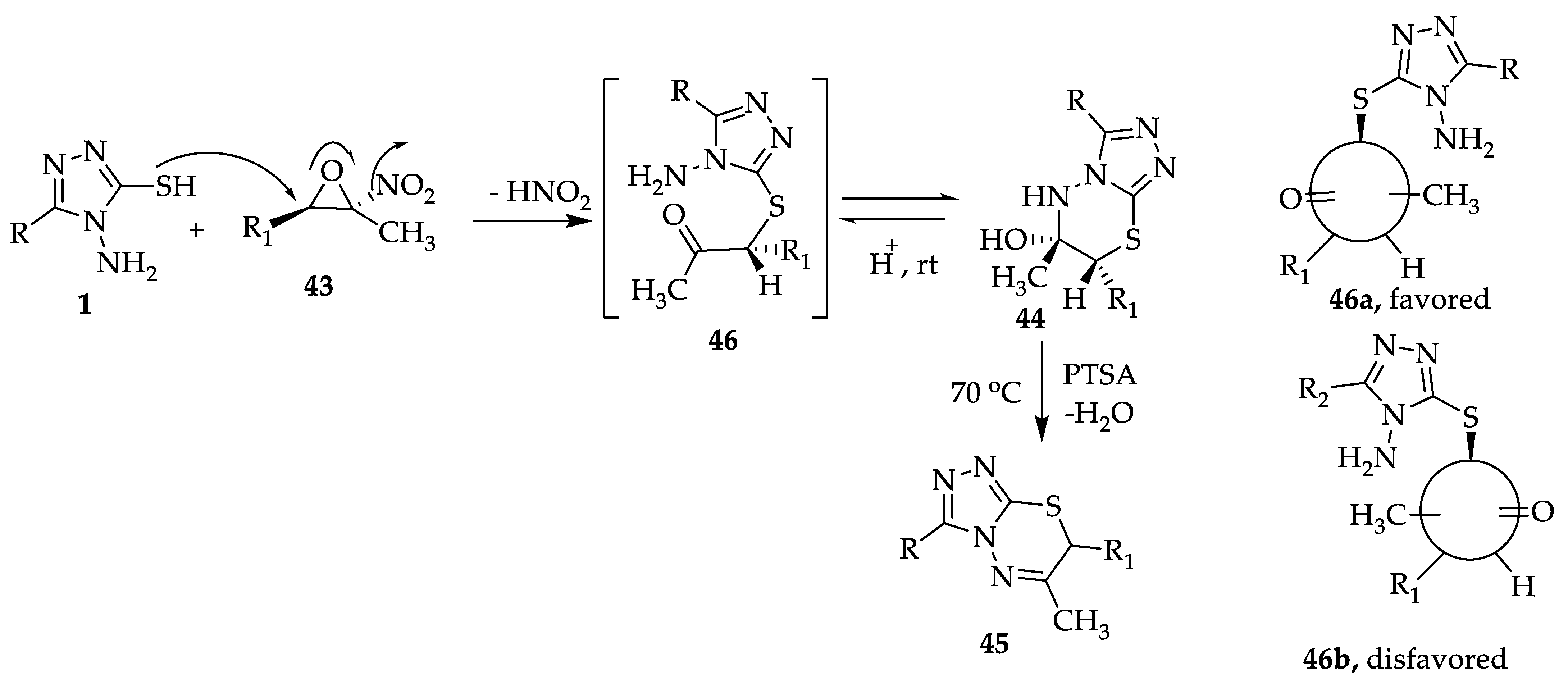 Molecules 29 01326 sch016