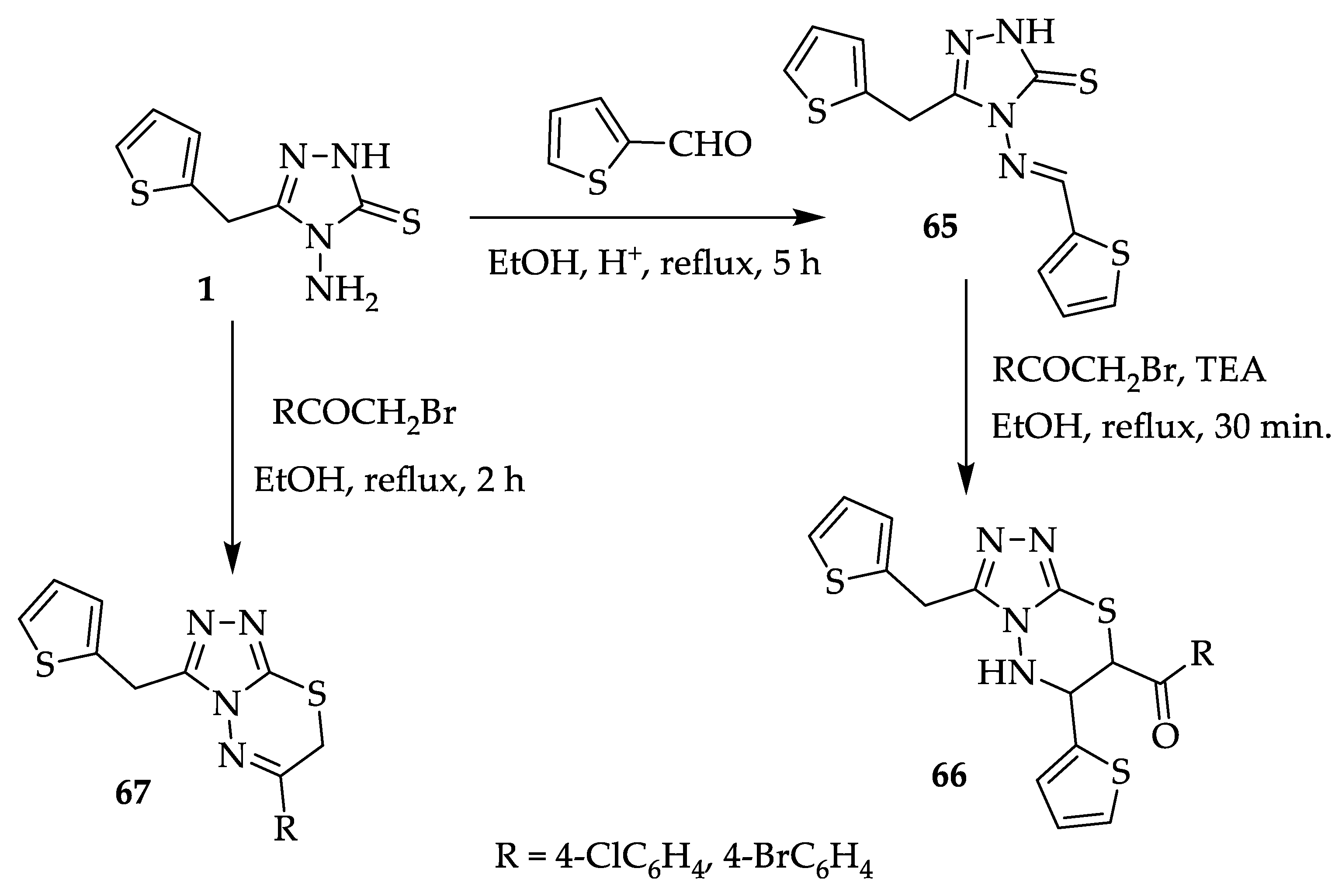 Molecules 29 01326 sch029
