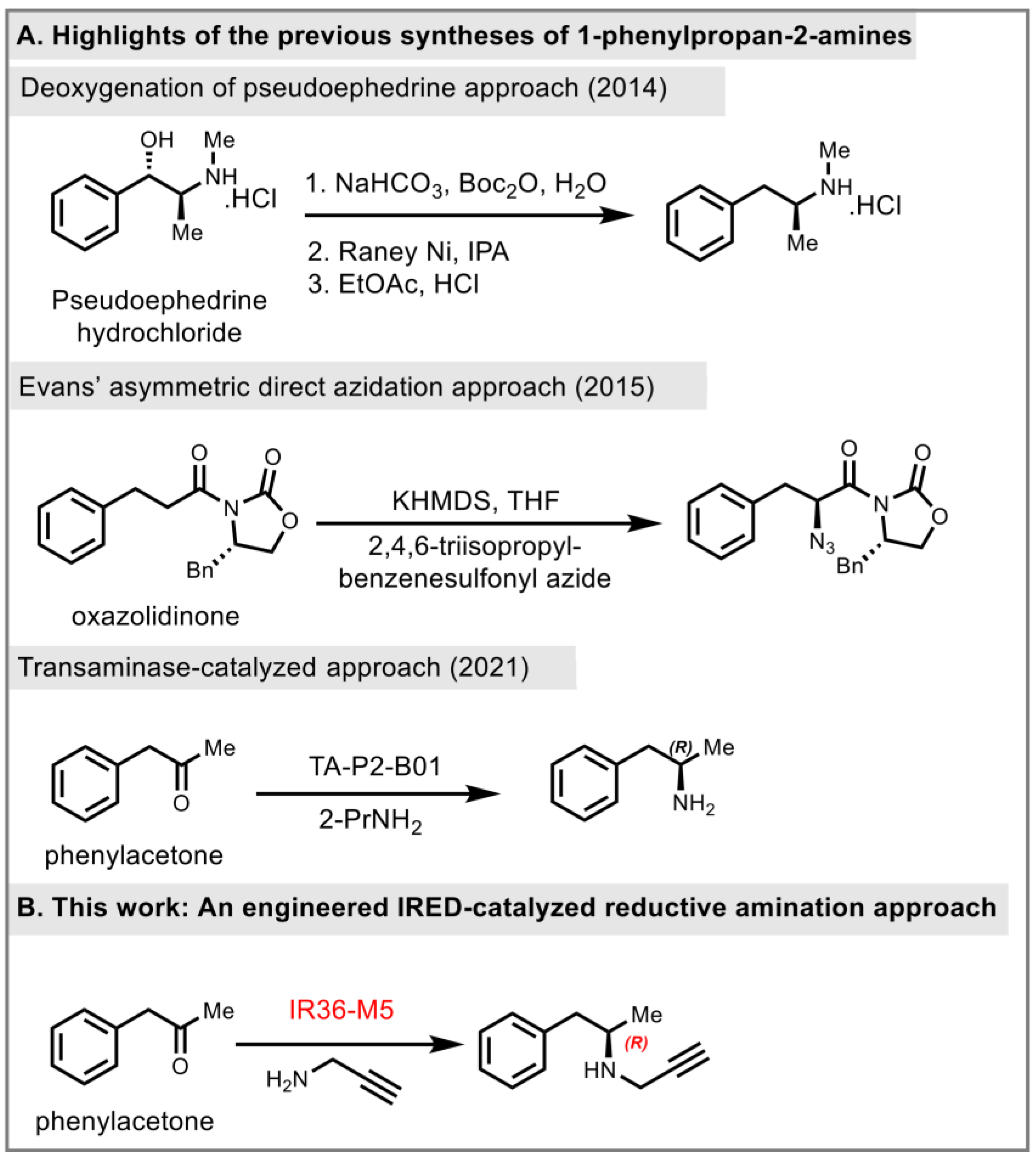 Molecules 29 01328 g002