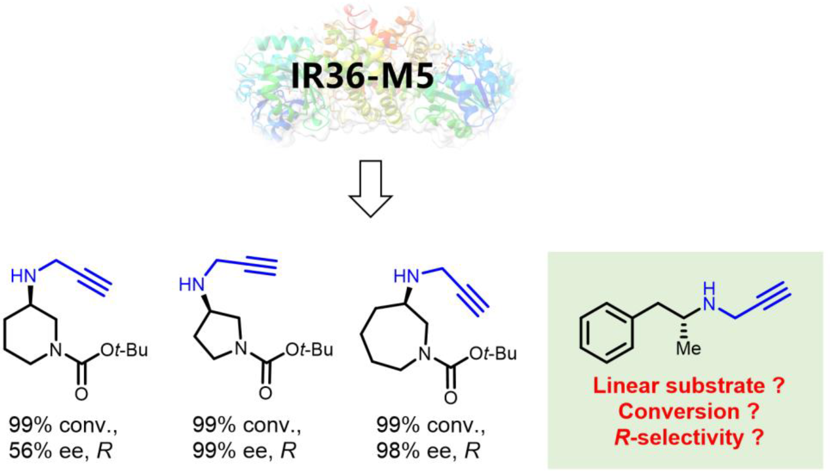 Molecules 29 01328 g003