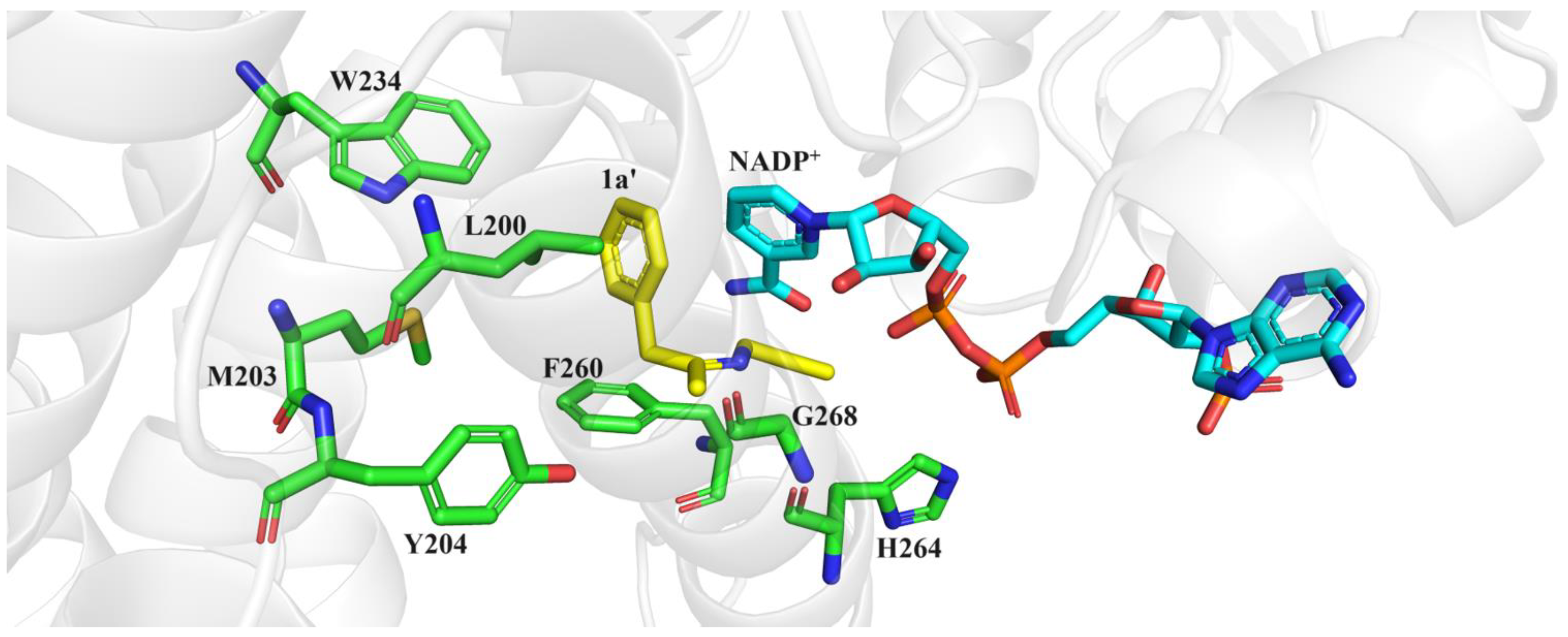 Molecules 29 01328 g004
