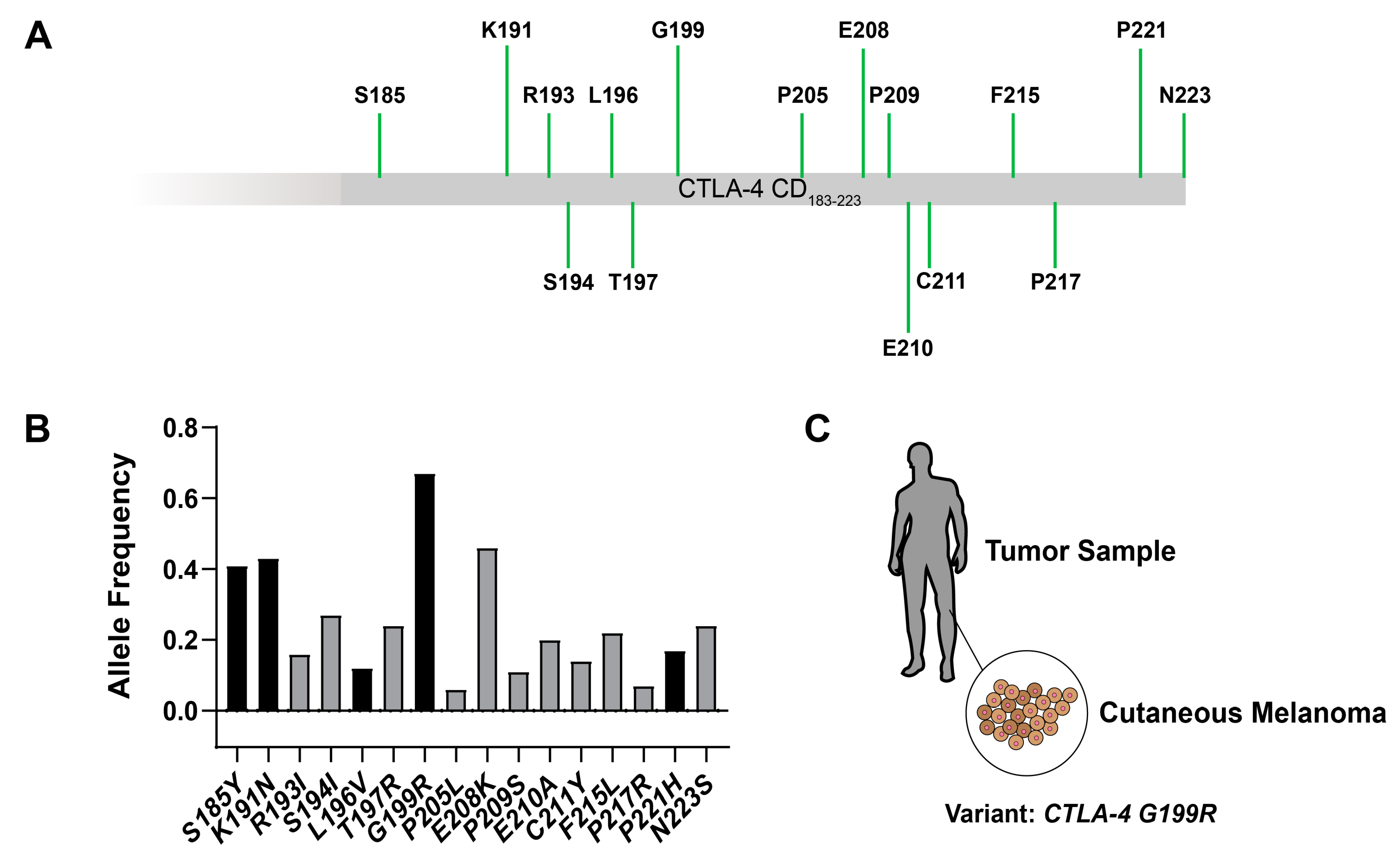 Molecules 29 01330 g001