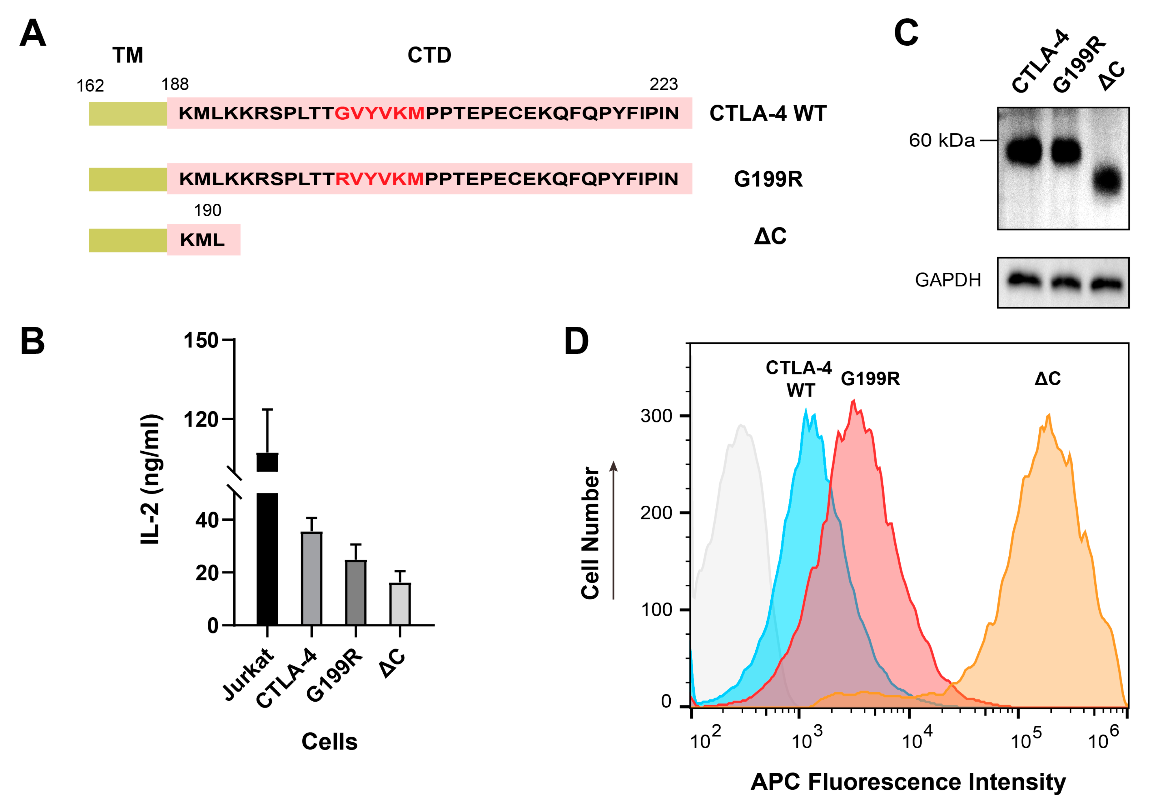 Molecules 29 01330 g004
