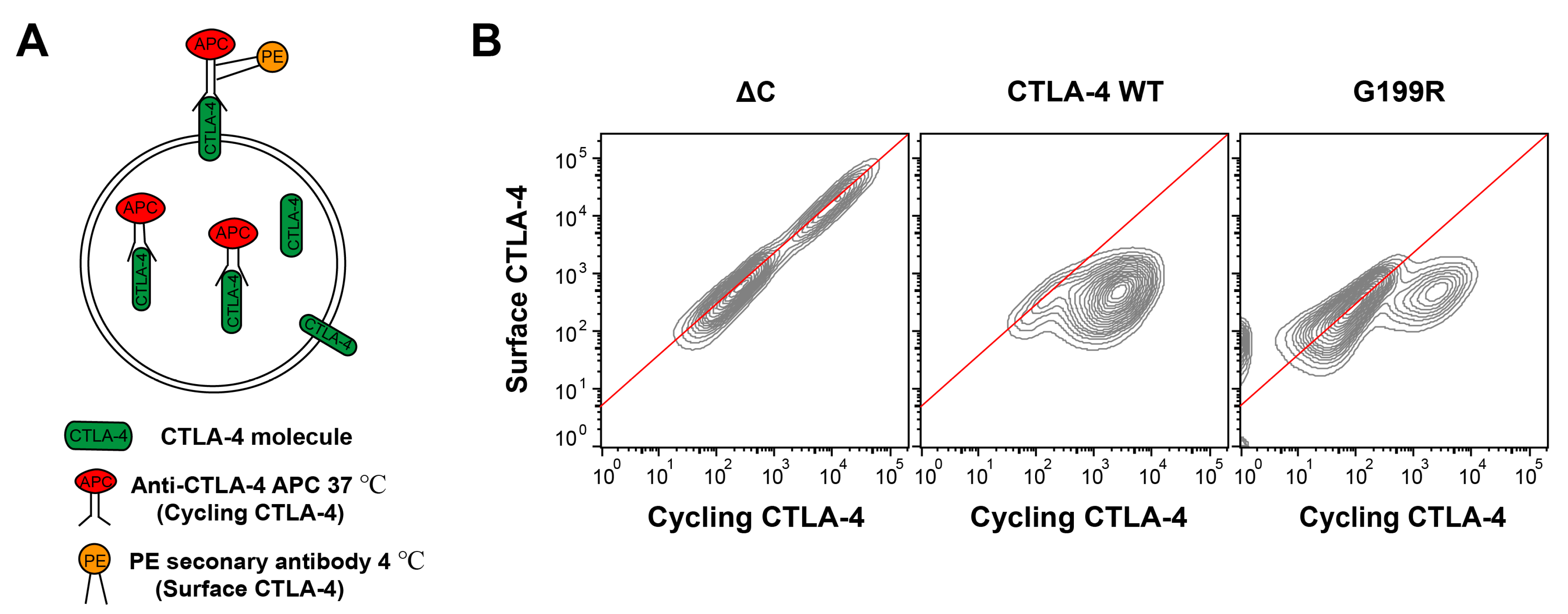 Molecules 29 01330 g005