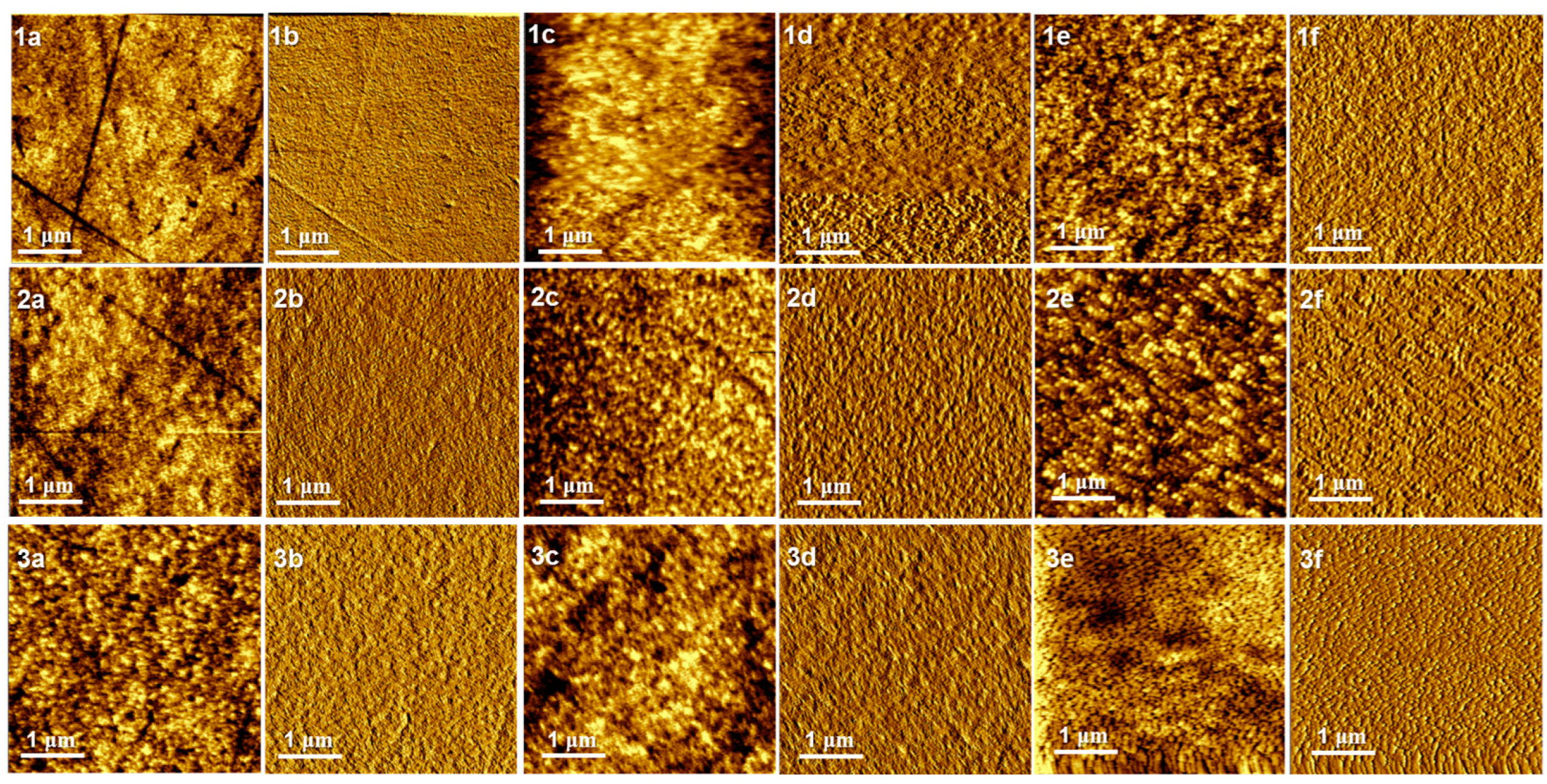 Molecules 29 01332 g004