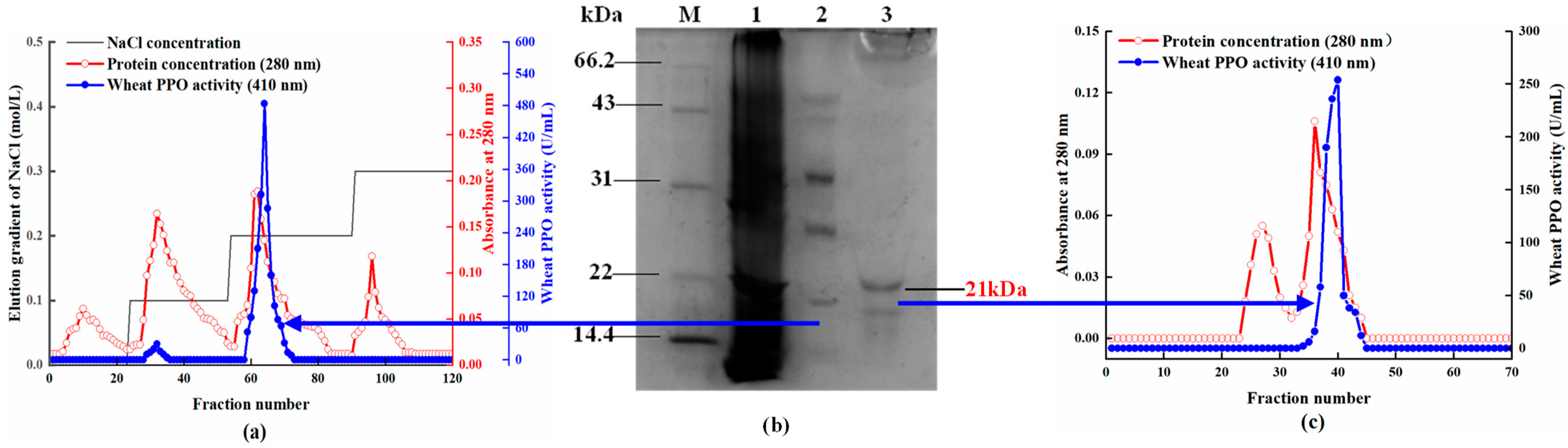 Molecules 29 01334 g001