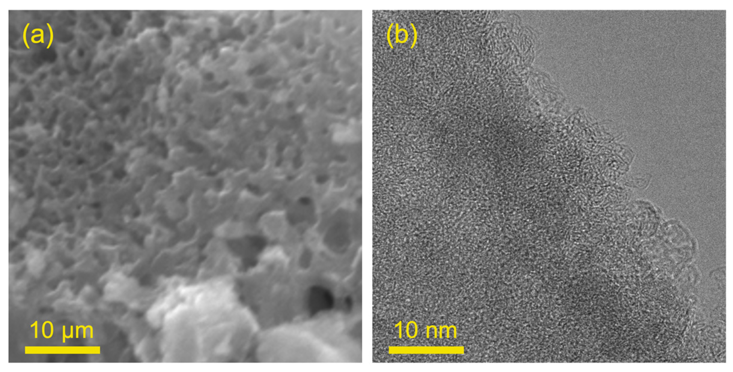 Molecules 29 01345 g002