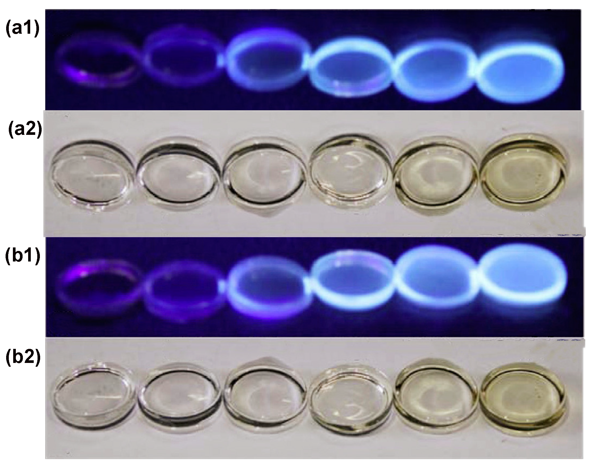 Molecules 29 01349 g008