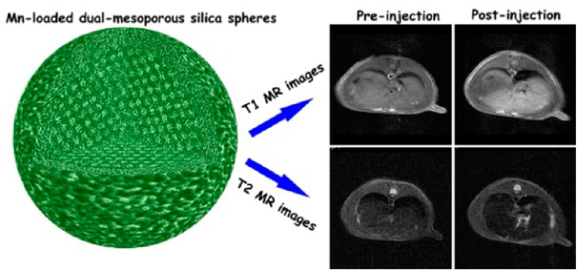 Molecules 29 01352 g002
