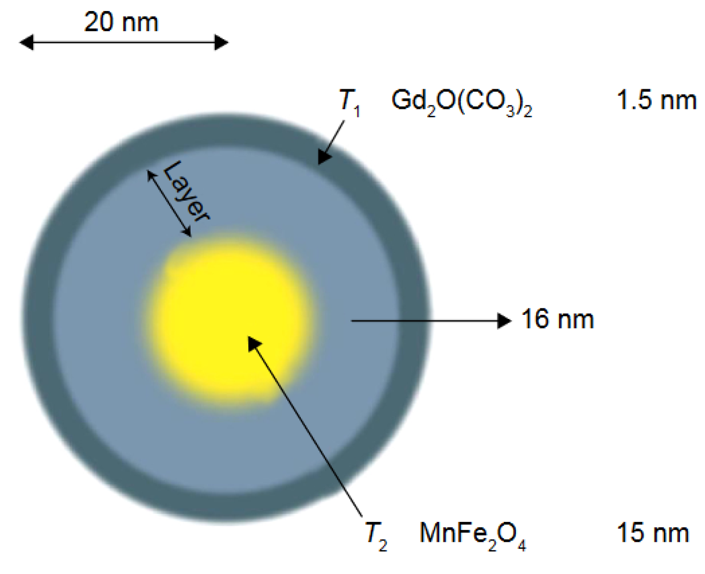 Molecules 29 01352 g005