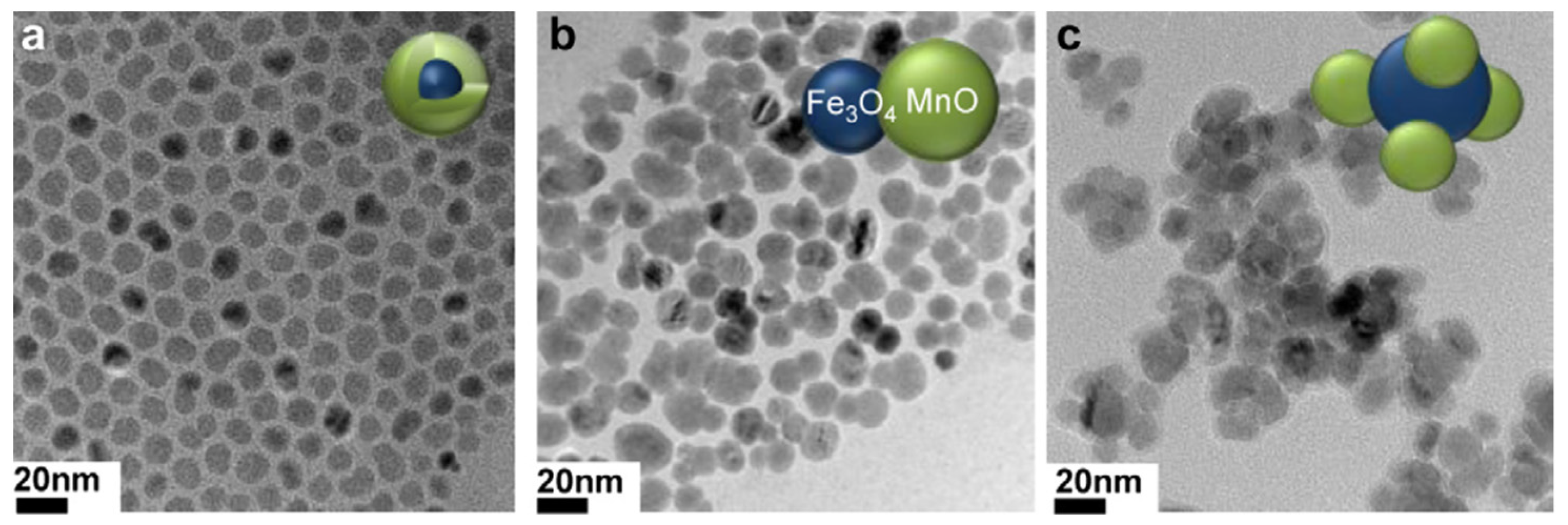 Molecules 29 01352 g010
