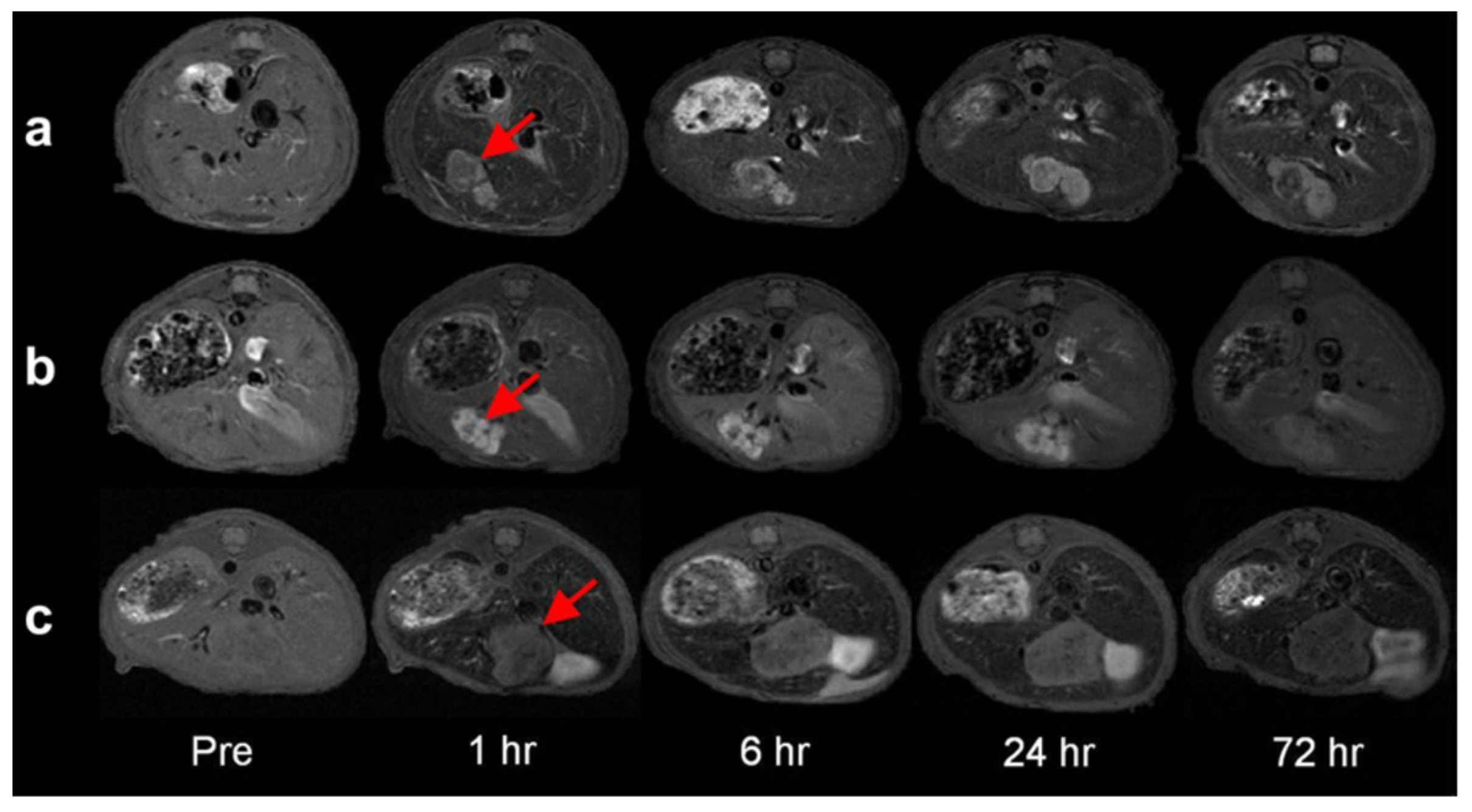 Molecules 29 01352 g011