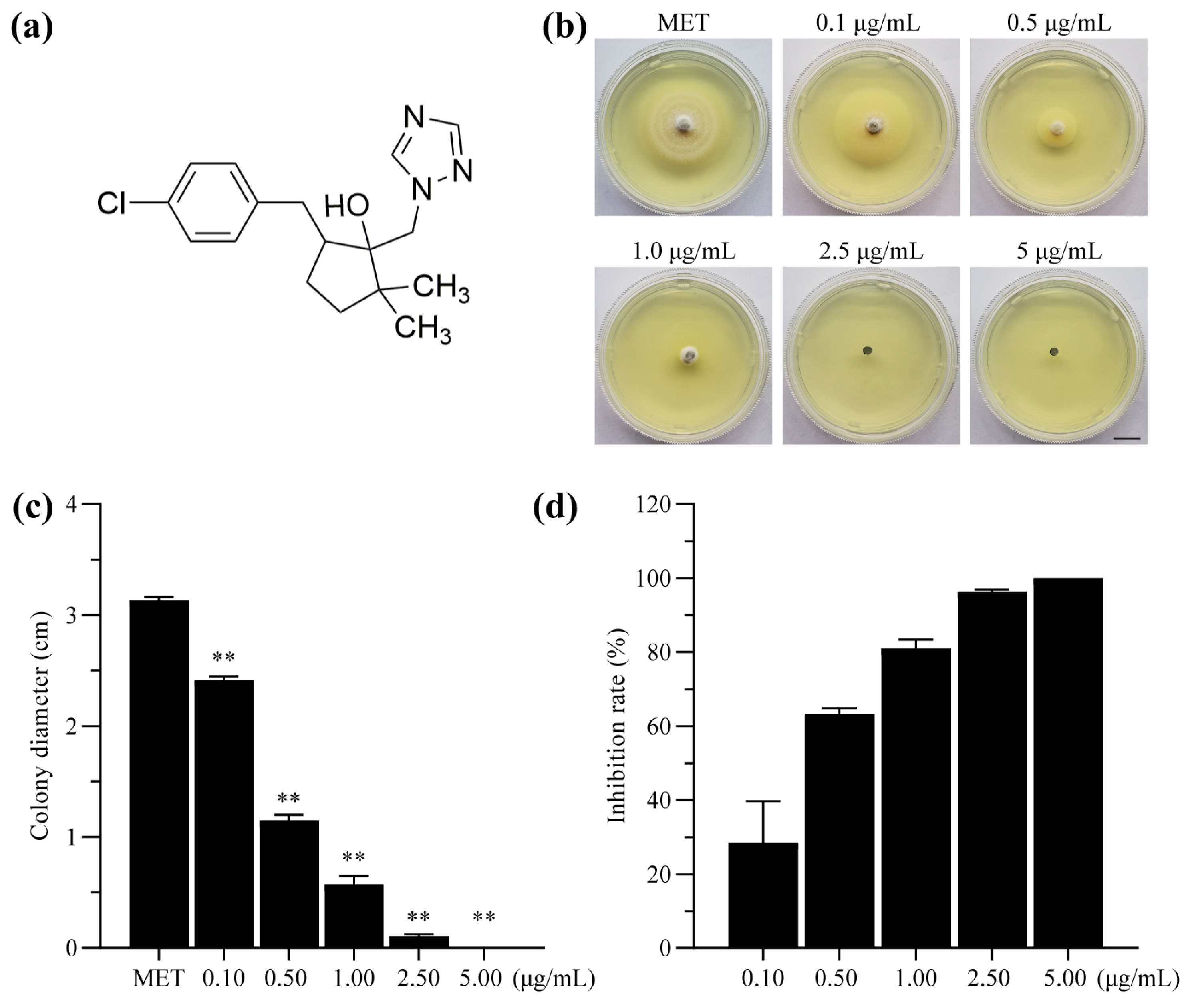 Molecules 29 01353 g001 Molecules 29 01353 g001