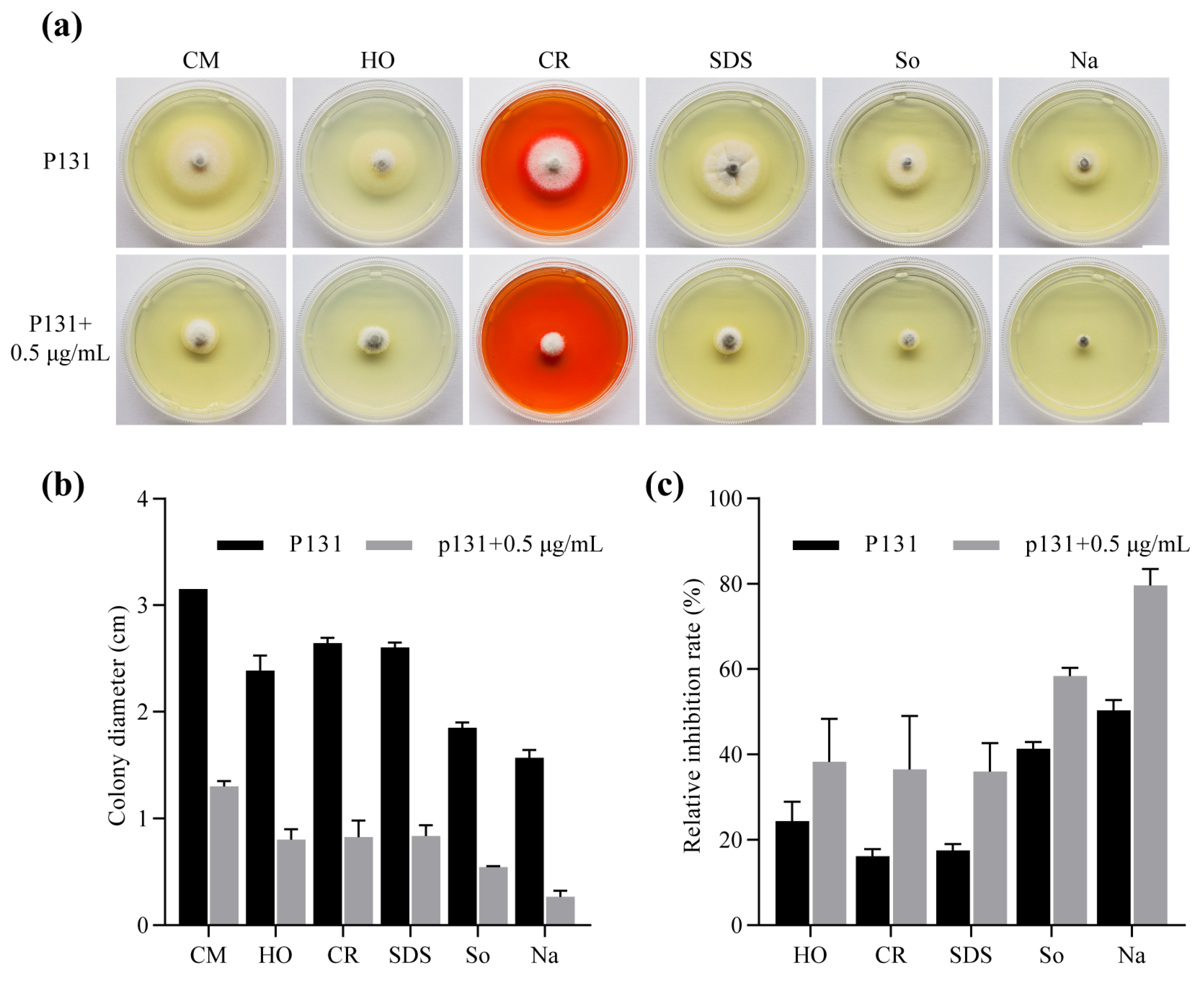 Molecules 29 01353 g003 Molecules 29 01353 g003