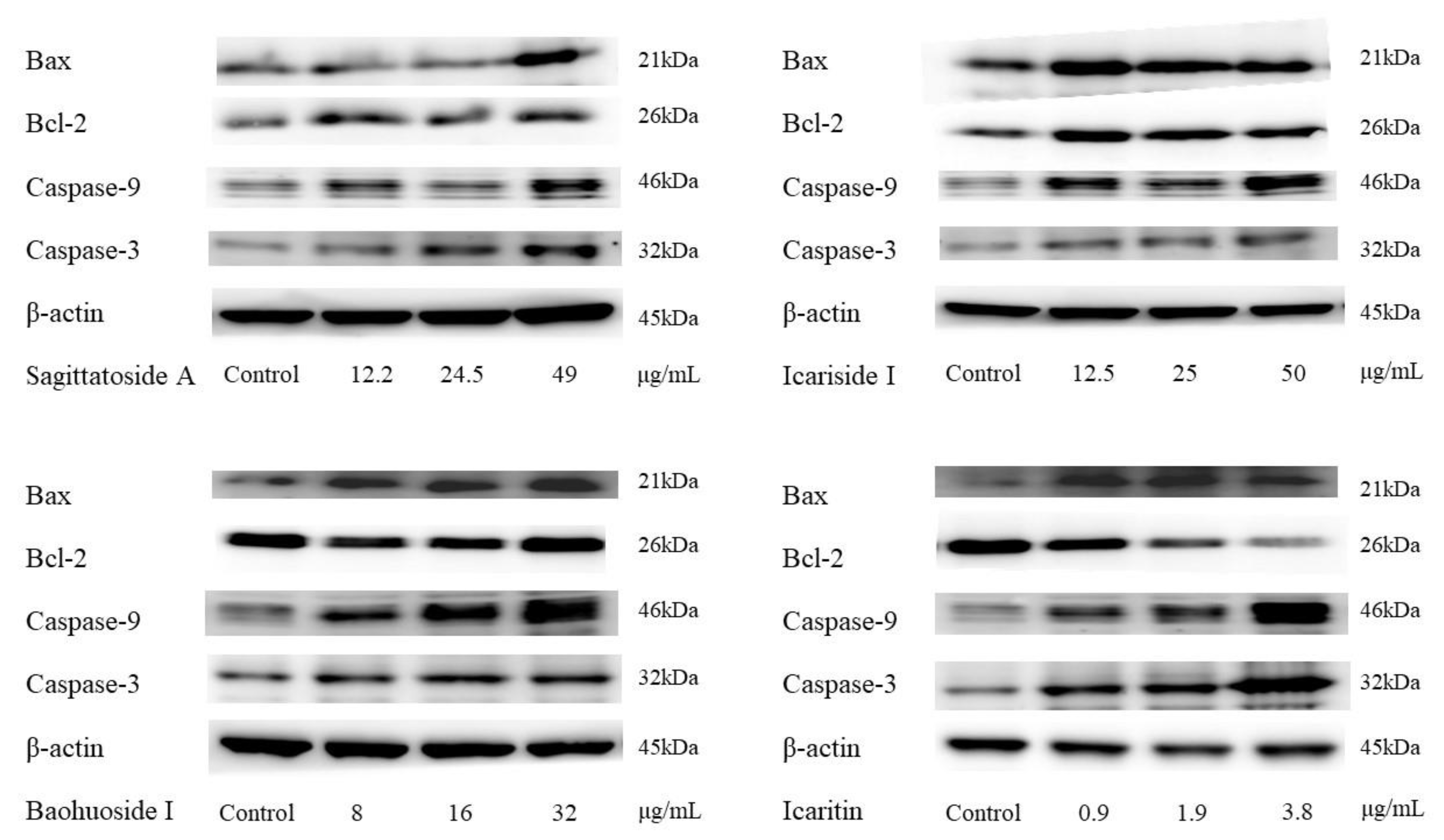 Molecules 29 01354 g003