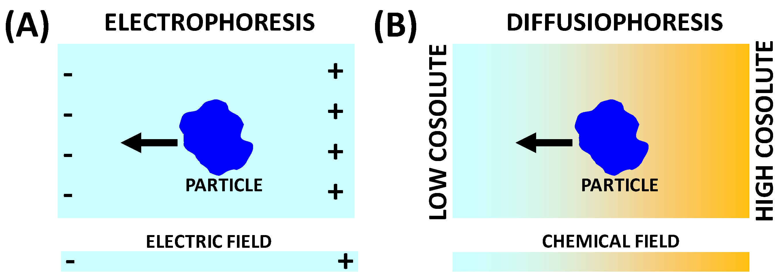Molecules 29 01367 g001 Molecules 29 01367 g001