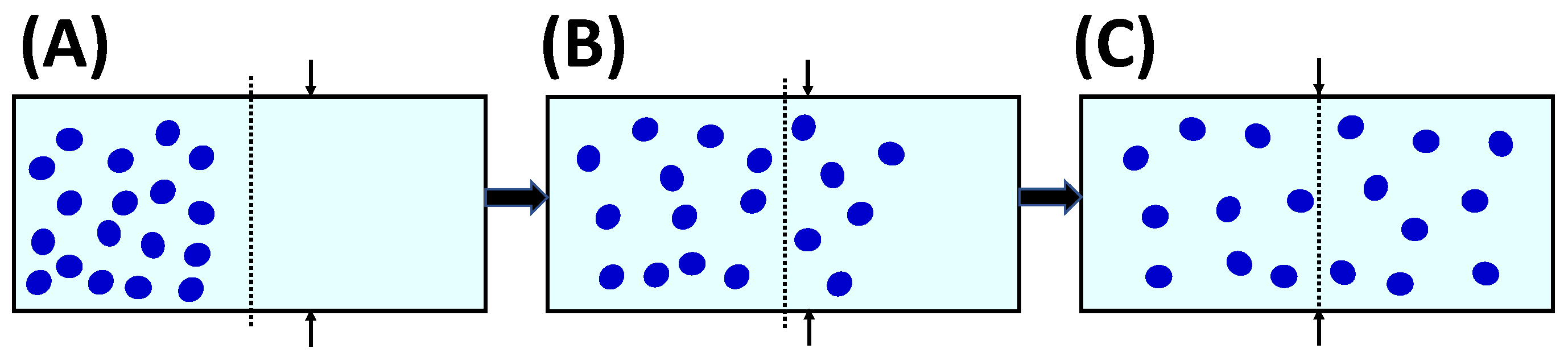 Molecules 29 01367 g002 Molecules 29 01367 g002