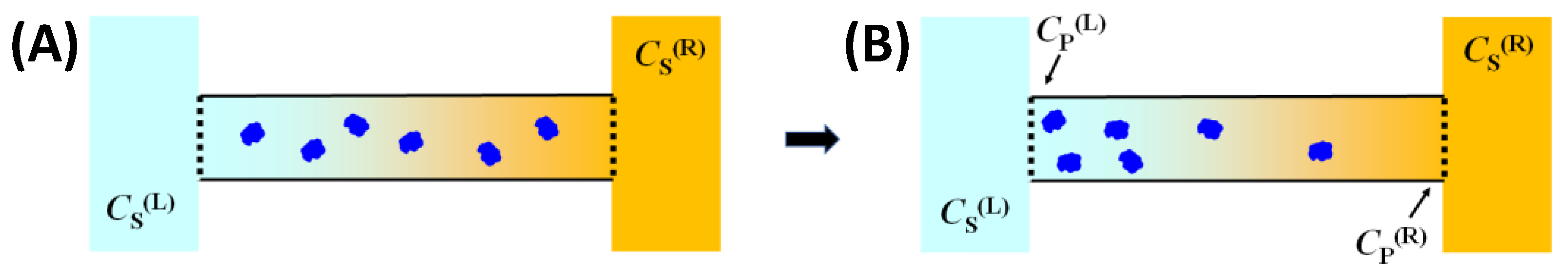 Molecules 29 01367 g003 Molecules 29 01367 g003