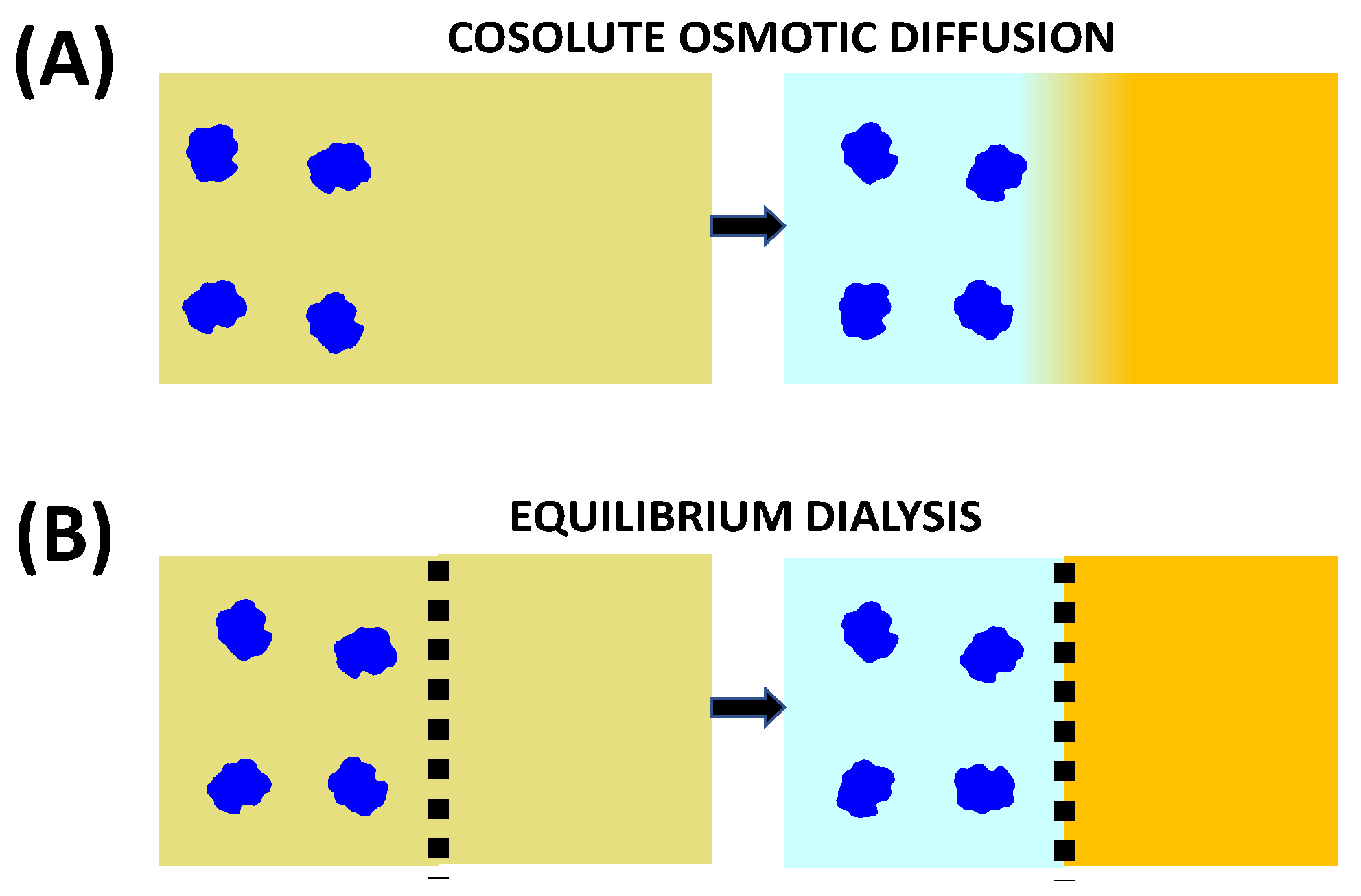 Molecules 29 01367 g004 Molecules 29 01367 g004
