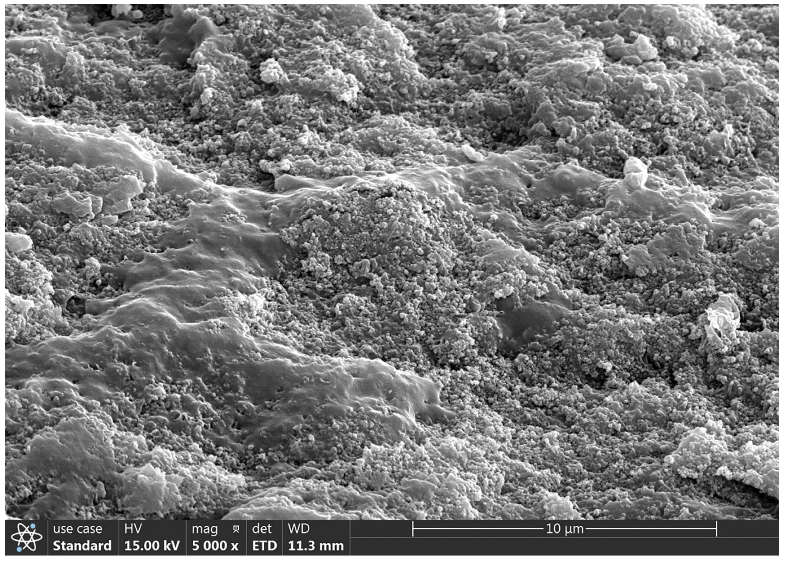 Molecules 29 01370 g005