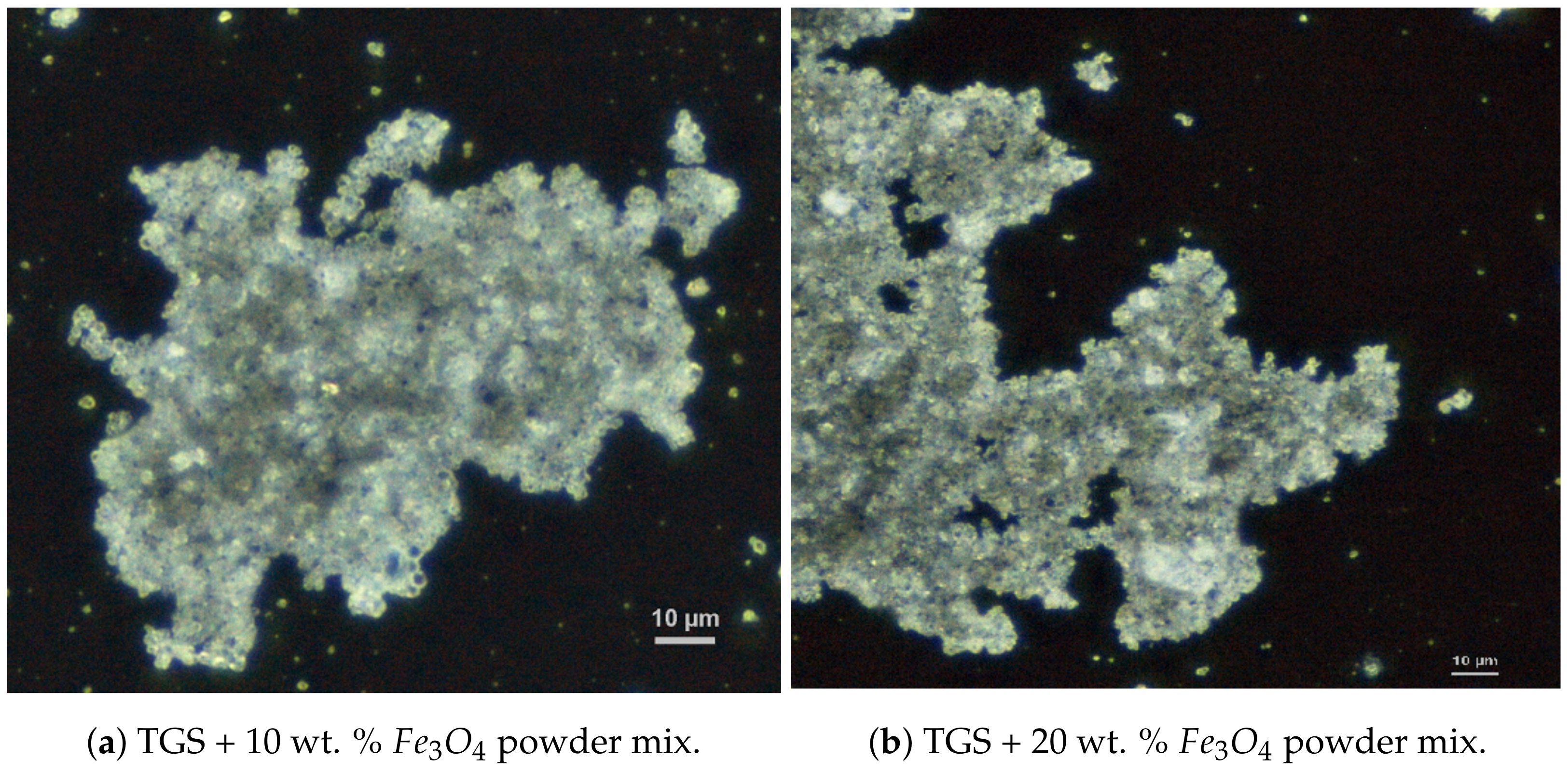 Molecules 29 01378 g009