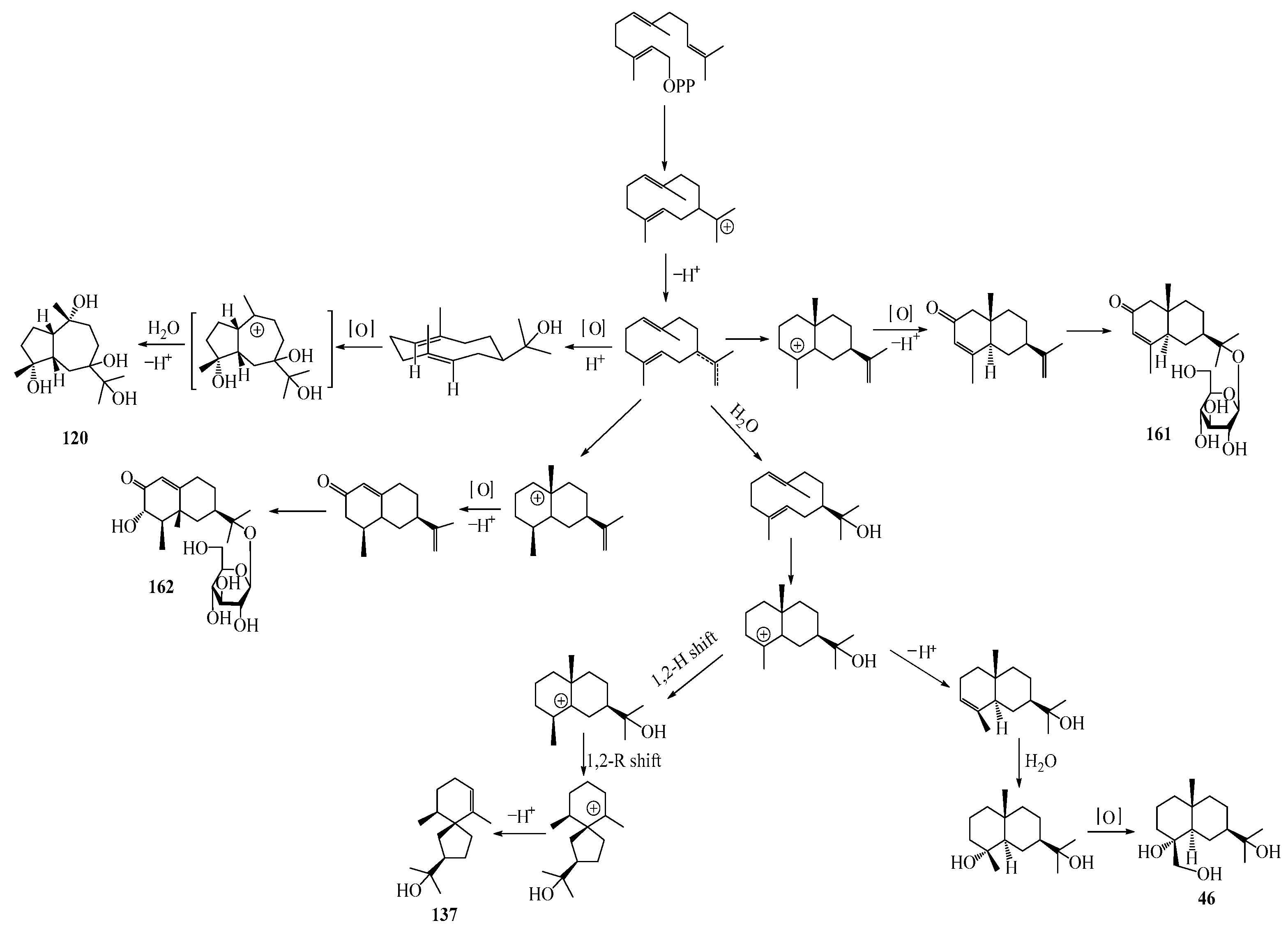 Molecules 29 01379 g001