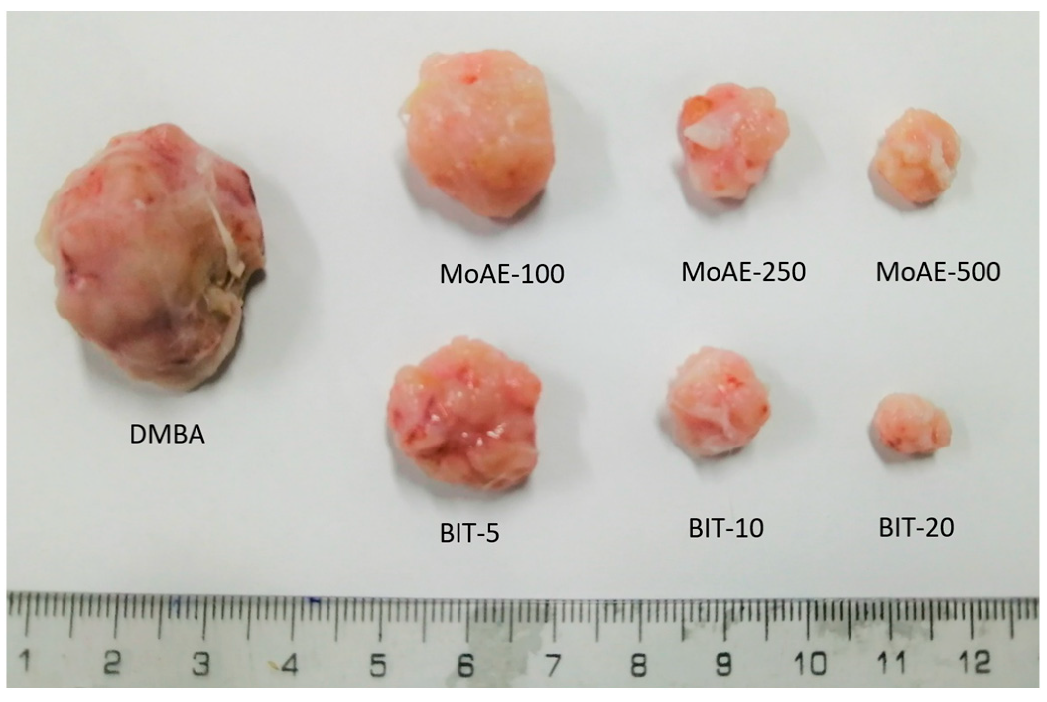 Molecules 29 01380 g002