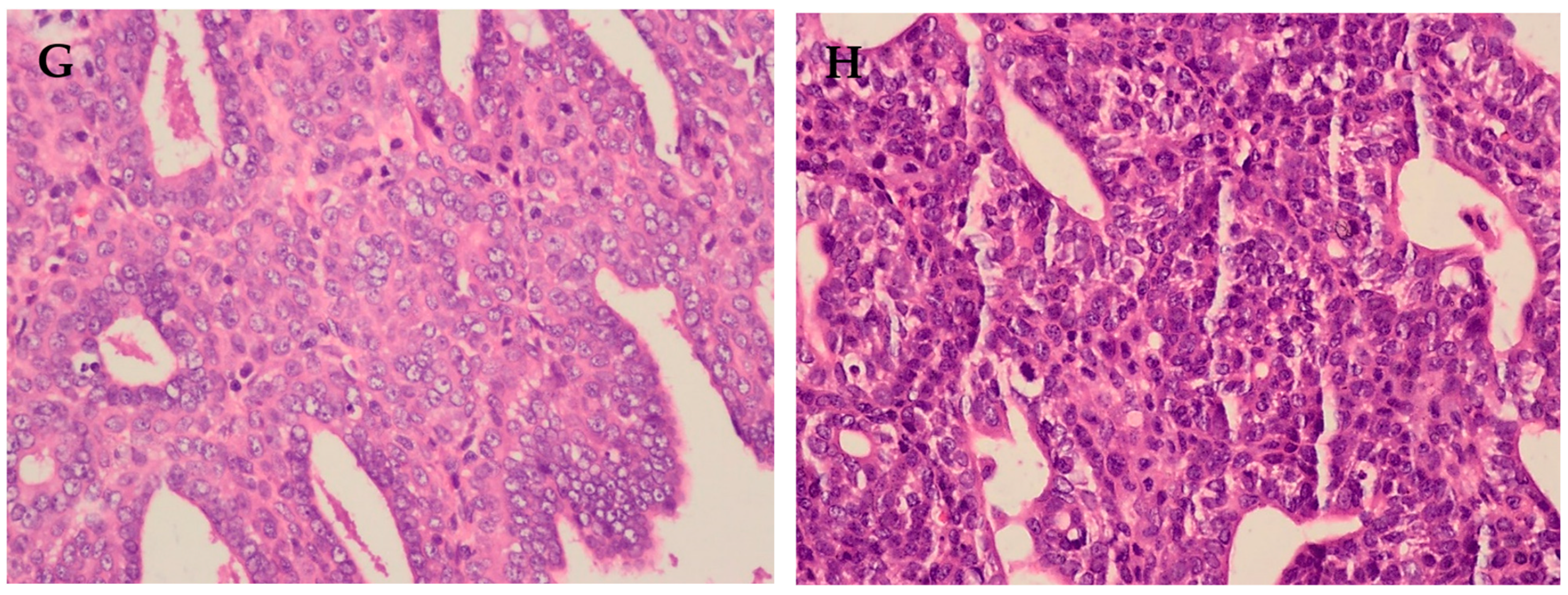 Molecules 29 01380 g003b