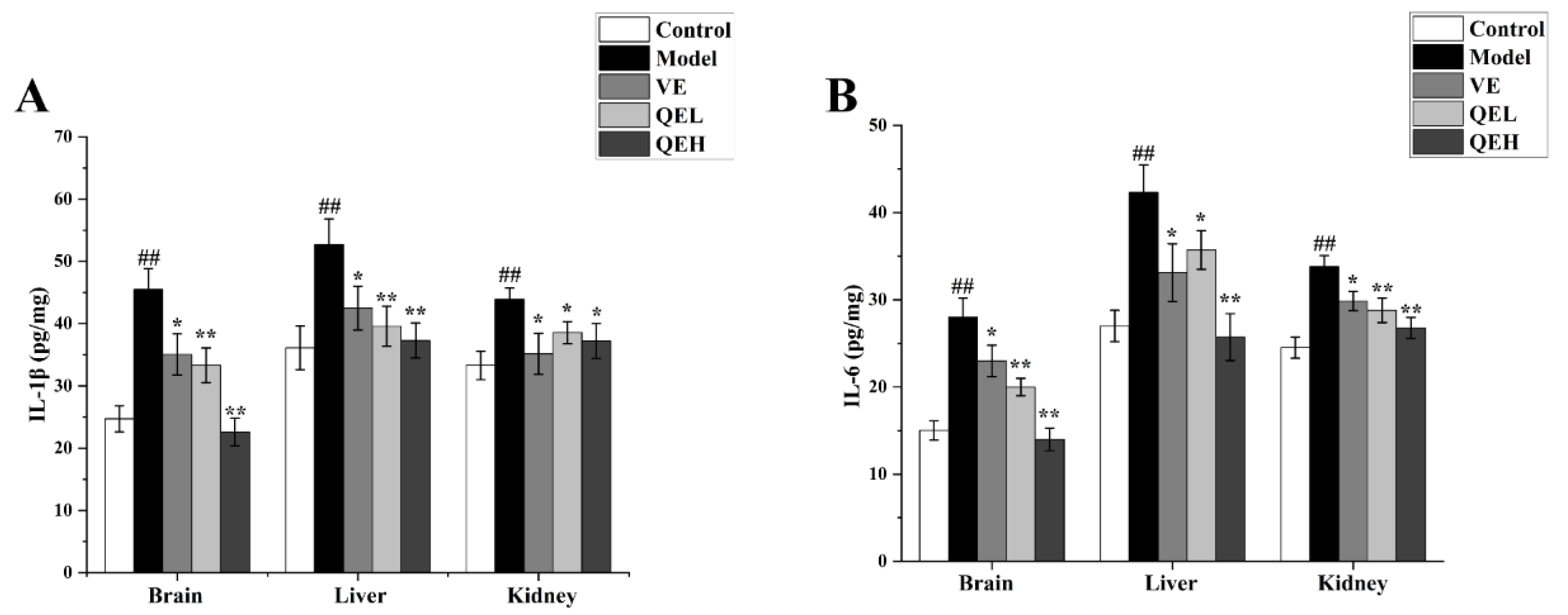 Molecules 29 01384 g004