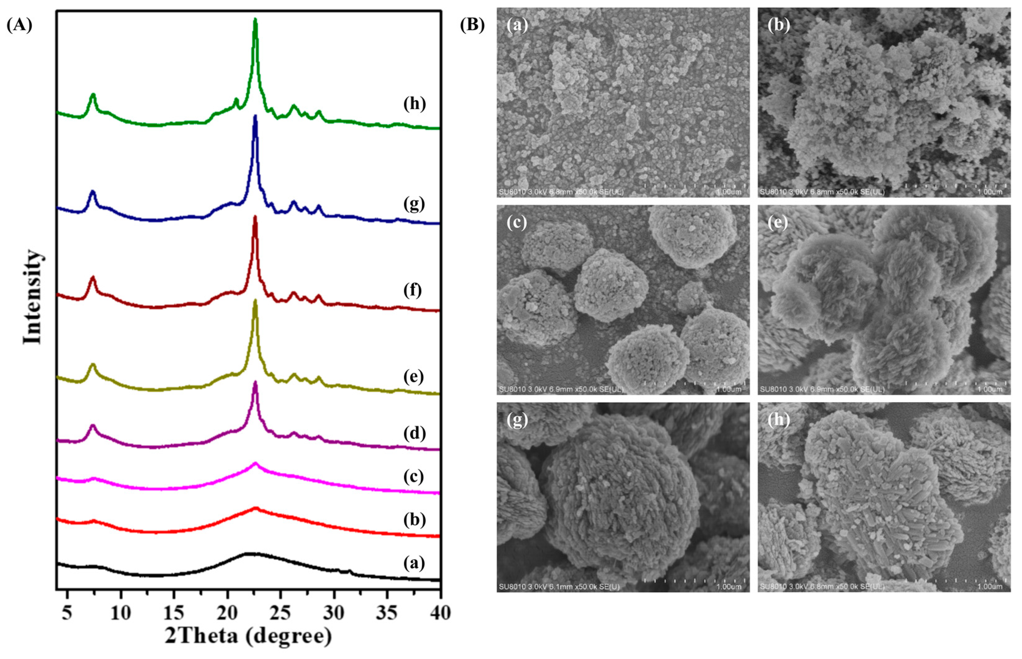 Molecules 29 01386 g004