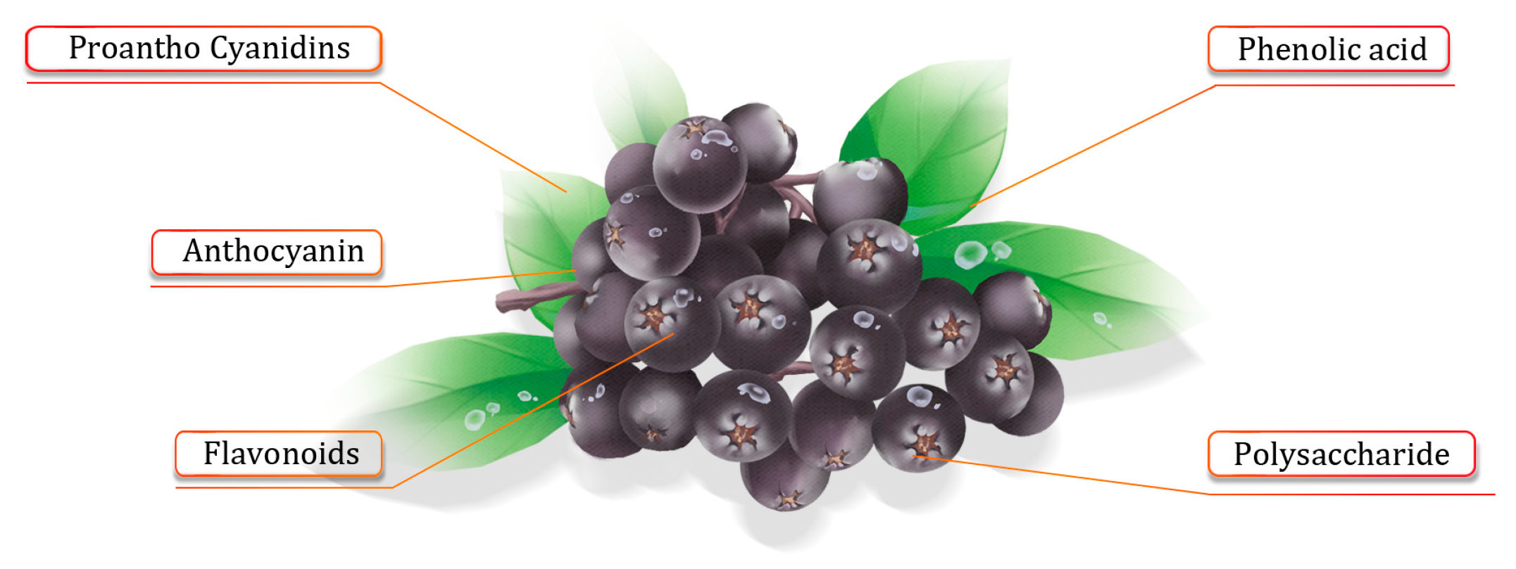 Molecules 29 01388 g001