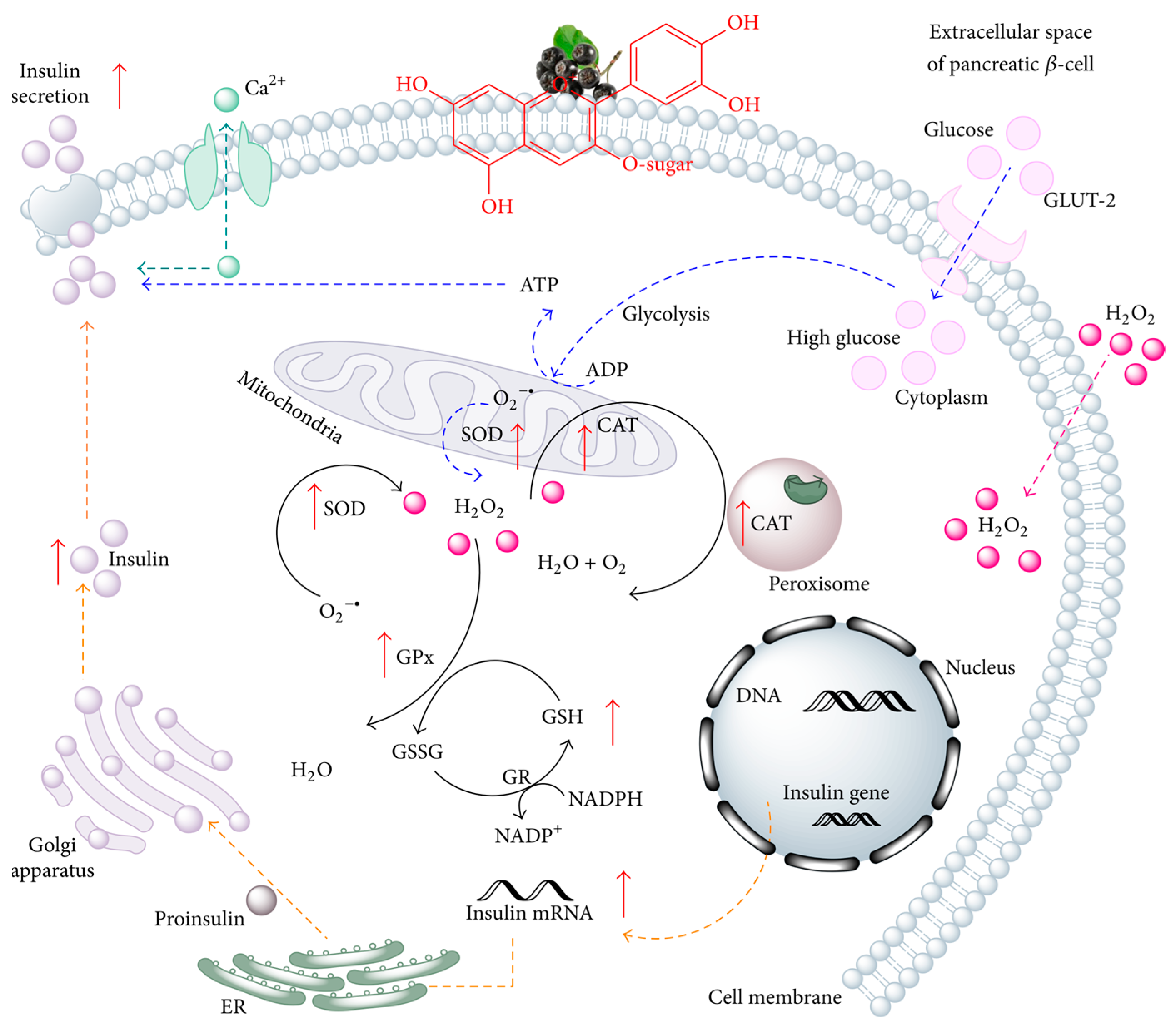 Molecules 29 01388 g002